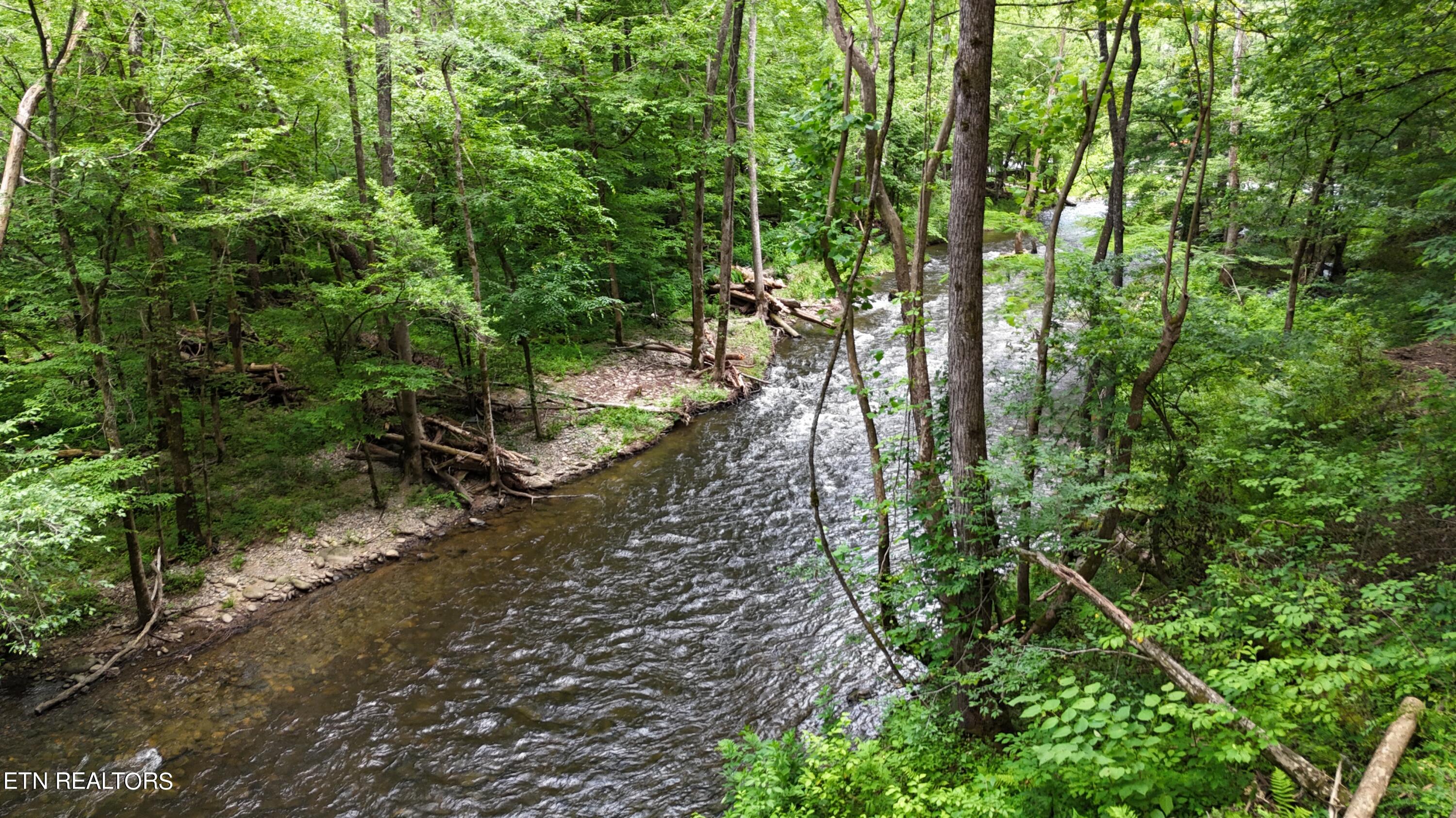 4320 Barnes Hollow Road Cosby TN 37722