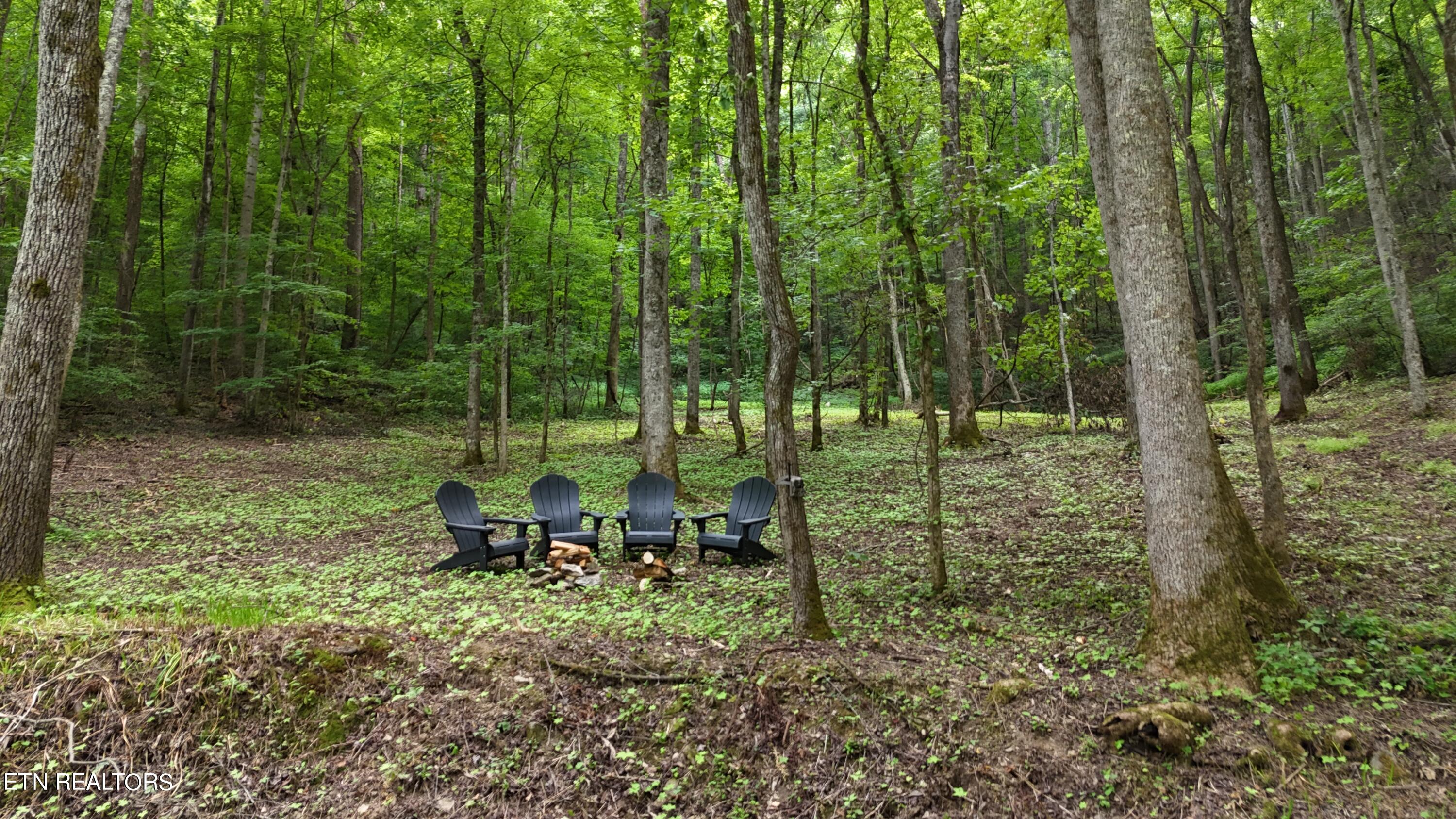 4320 Barnes Hollow Road Cosby TN 37722