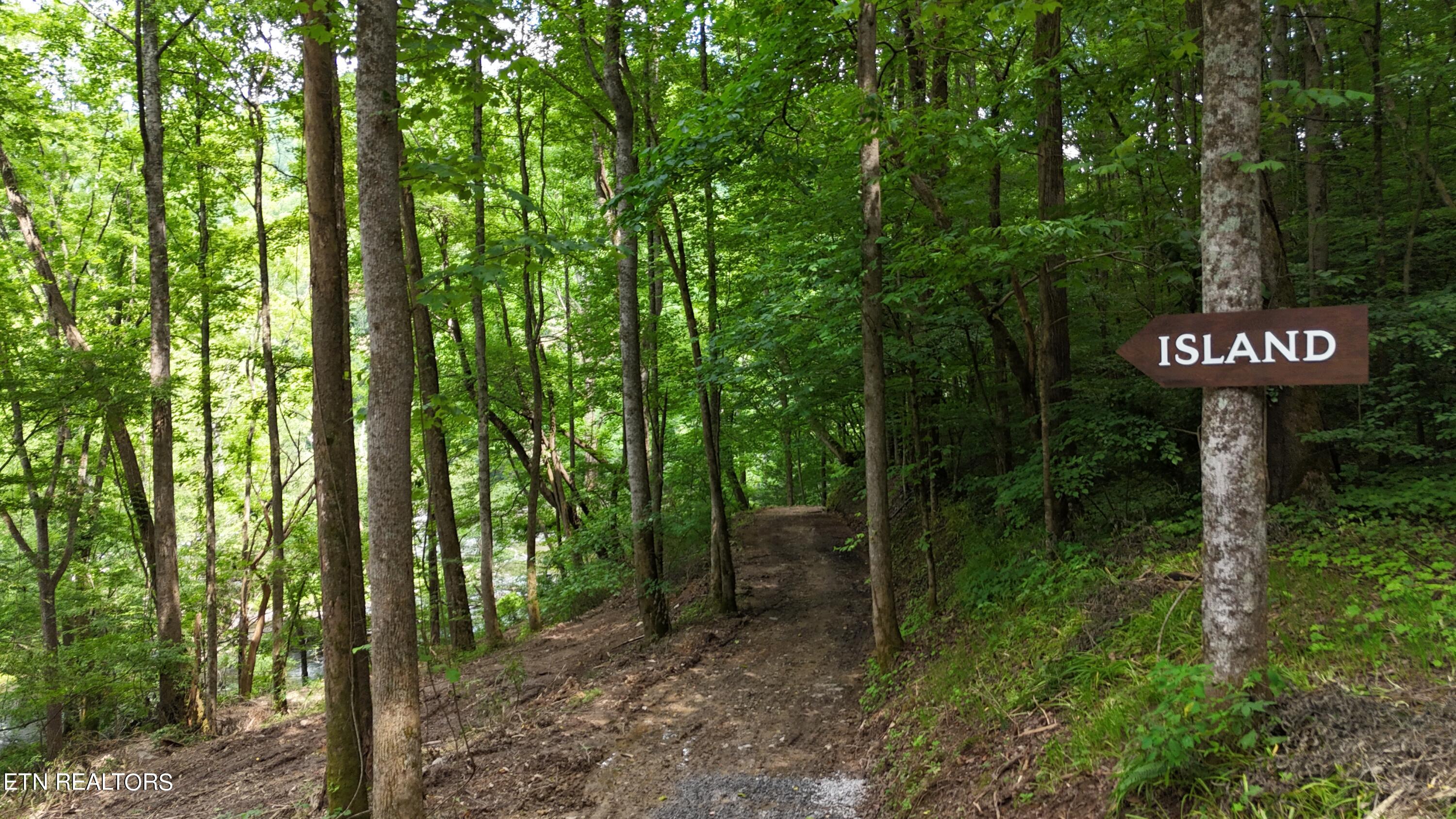 4320 Barnes Hollow Road Cosby TN 37722