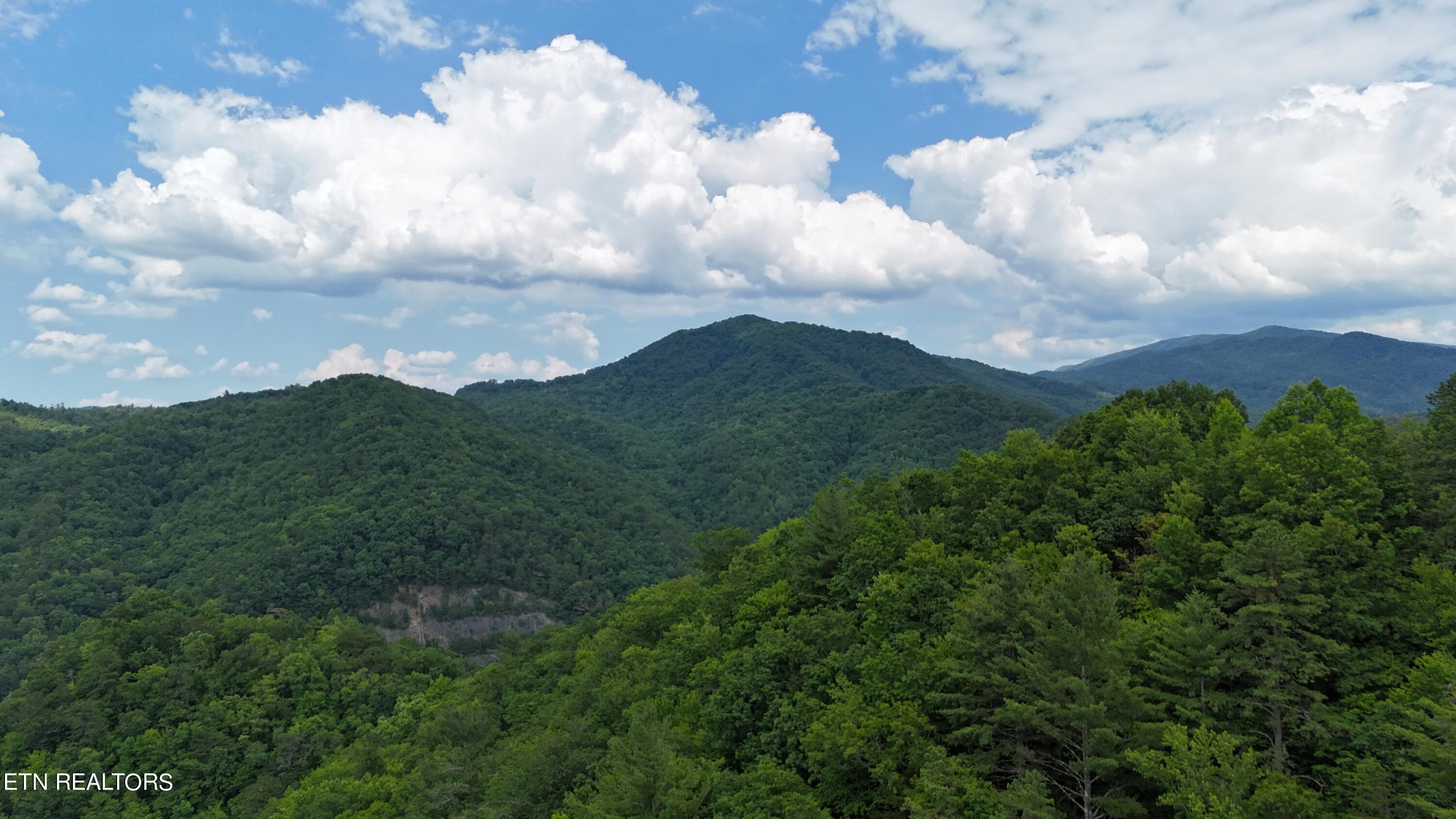 4320 Barnes Hollow Road Cosby TN 37722
