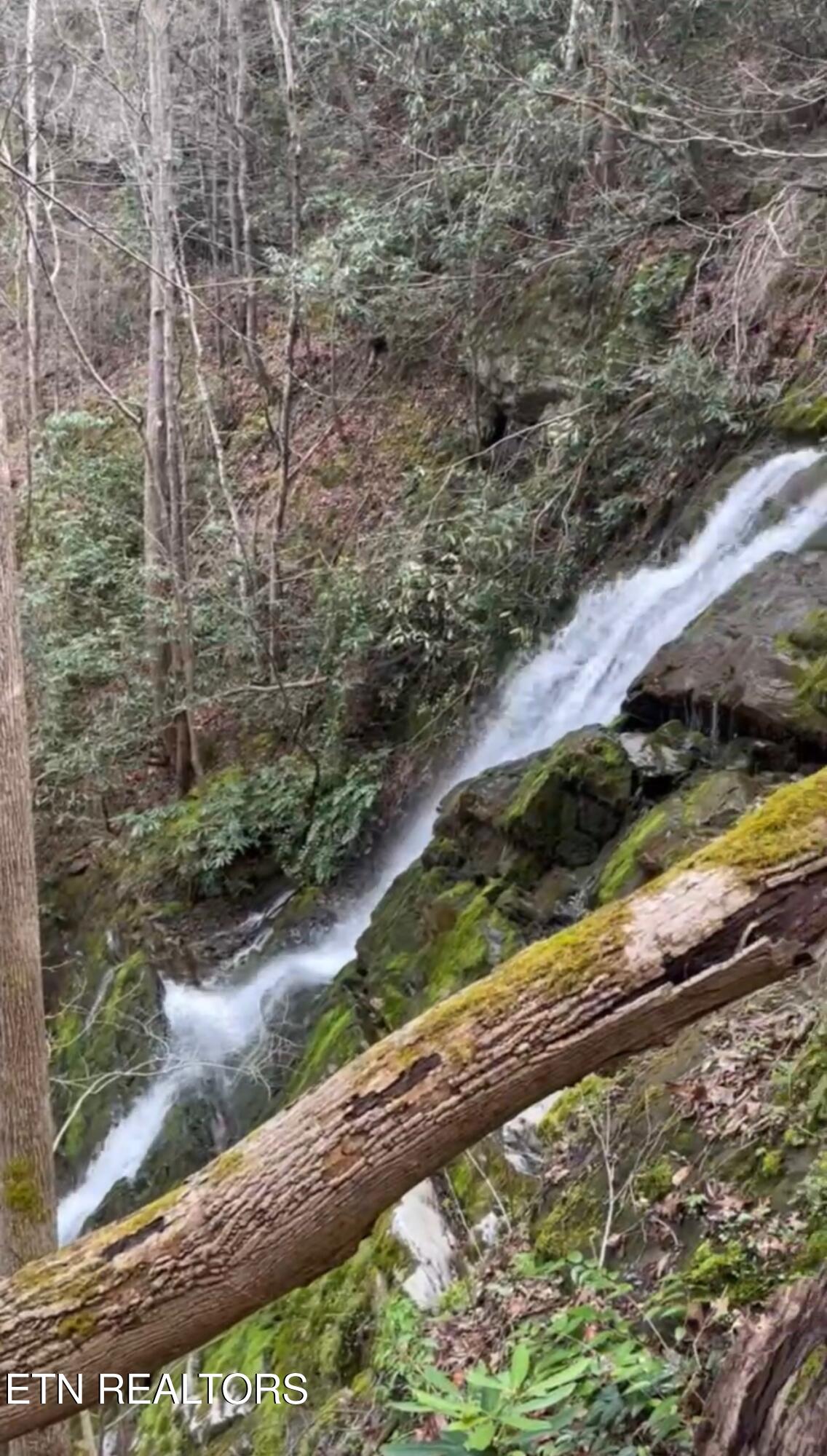 4320 Barnes Hollow Road Cosby TN 37722