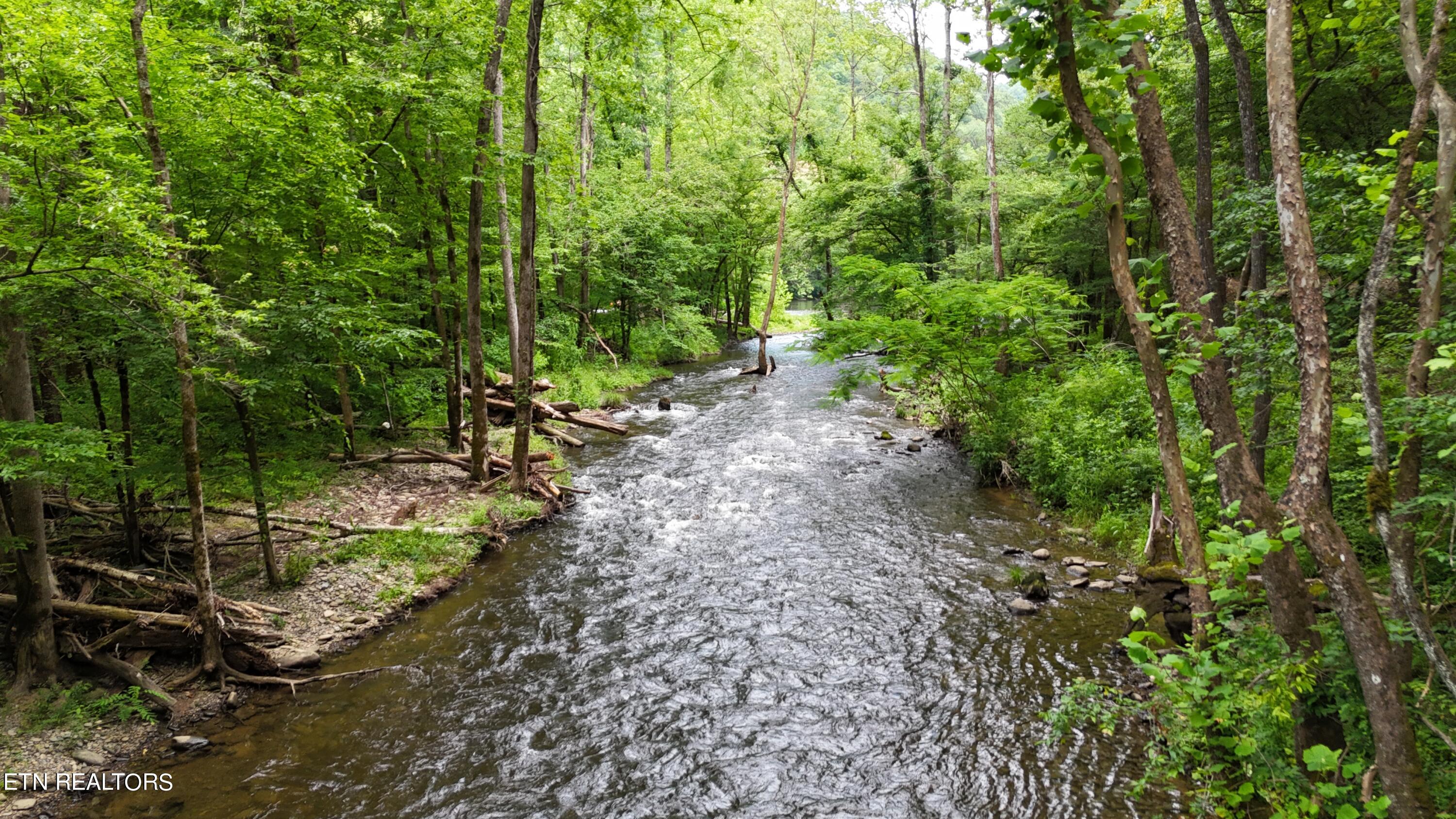 4320 Barnes Hollow Road Cosby TN 37722