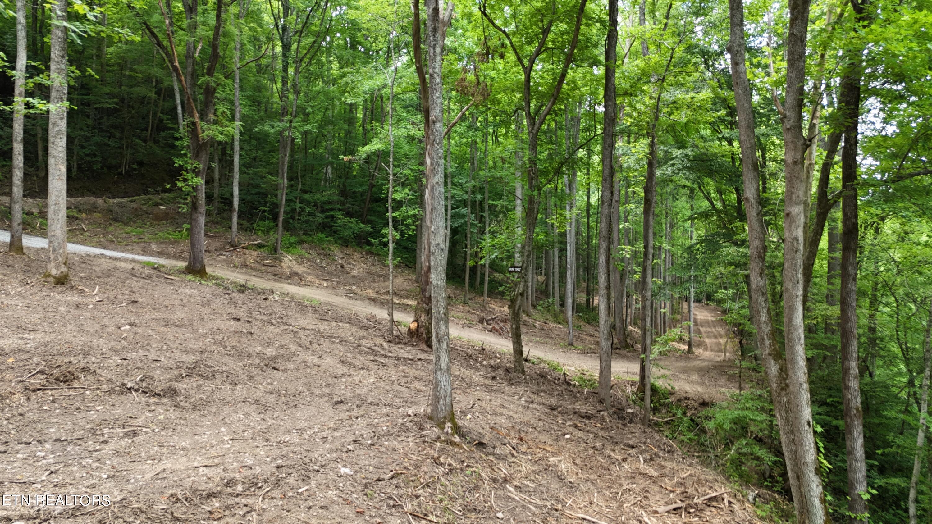 4320 Barnes Hollow Road Cosby TN 37722