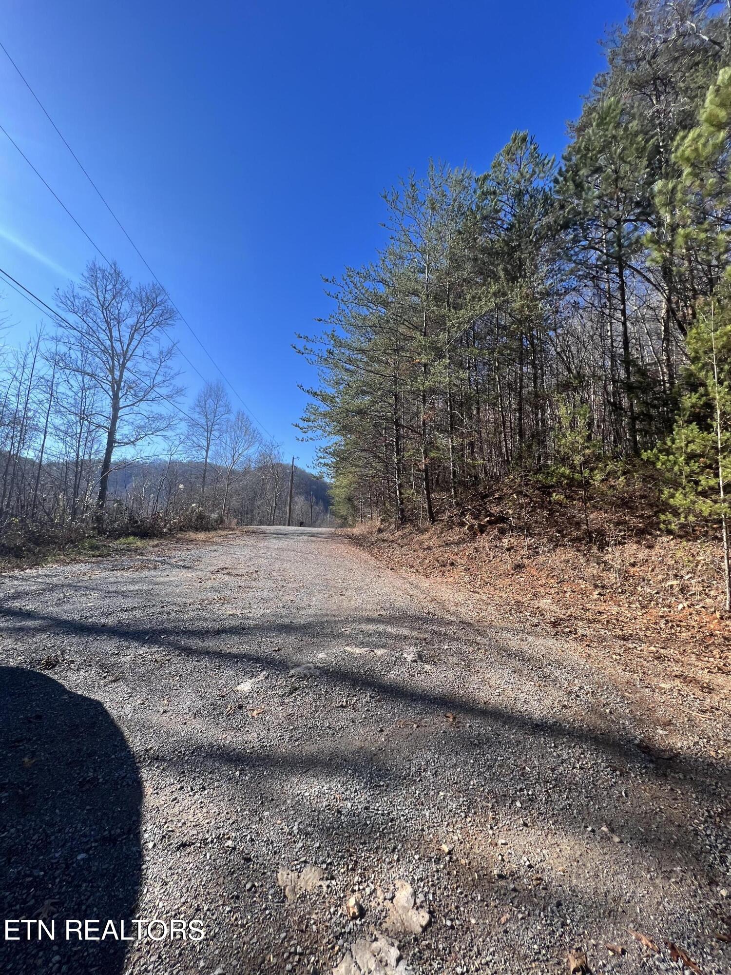 4 Lots Jones Ridge Road Speedwell TN 37870