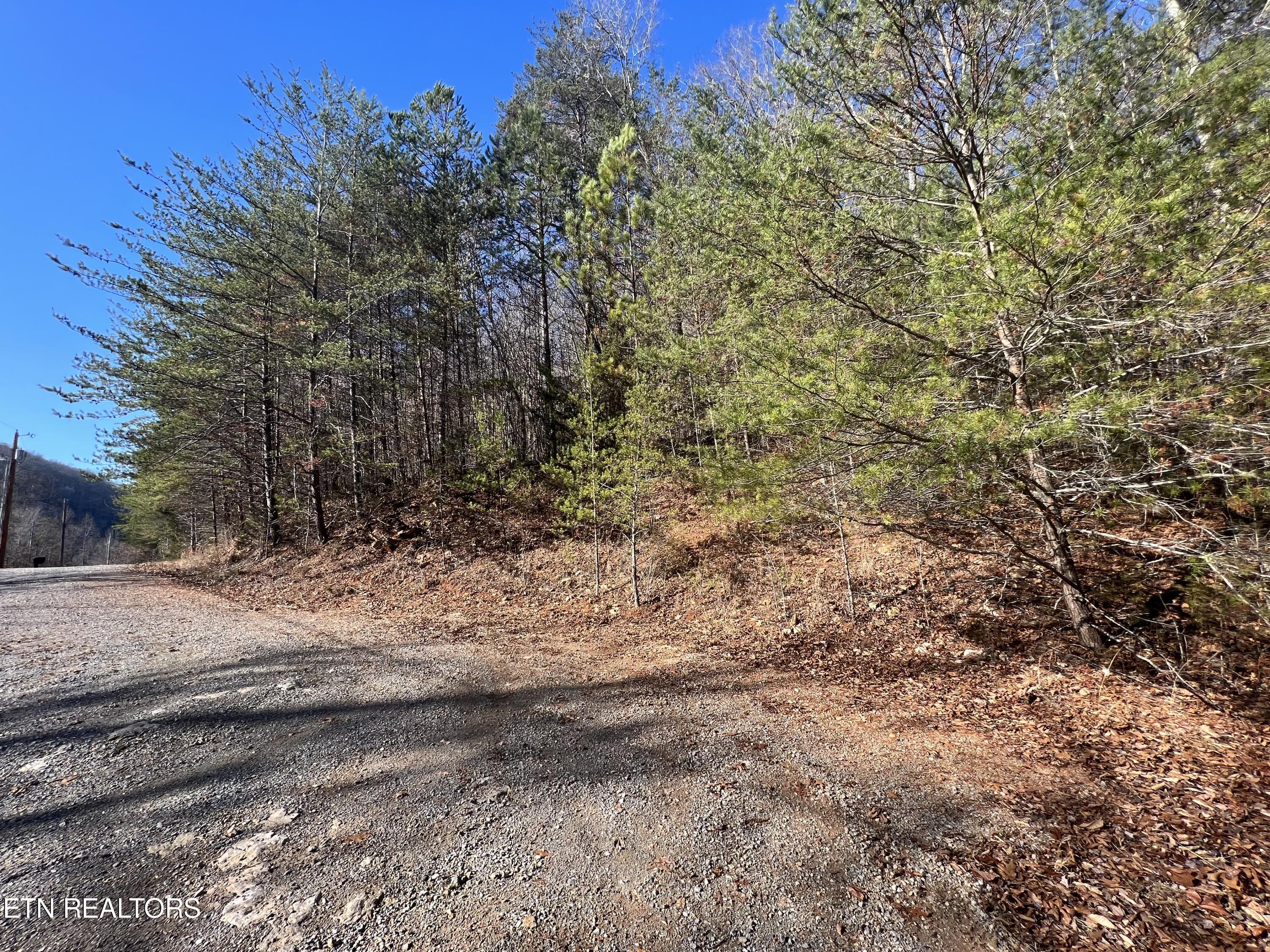 4 Lots Jones Ridge Road Speedwell TN 37870