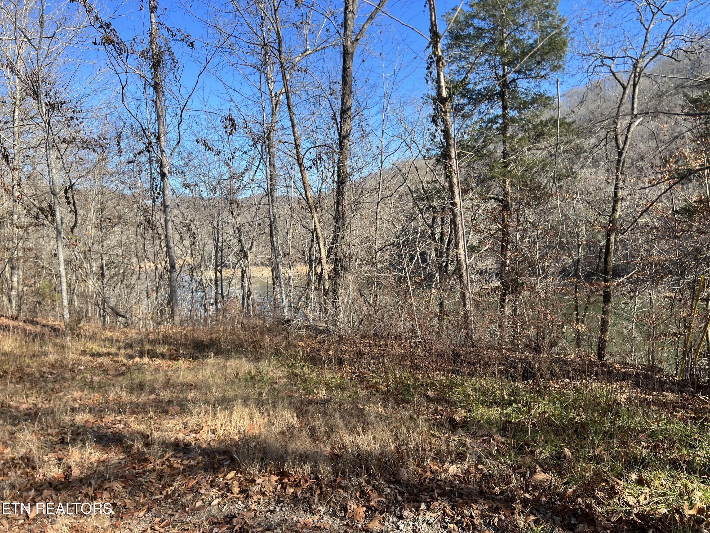 4 Lots Jones Ridge Road Speedwell TN 37870