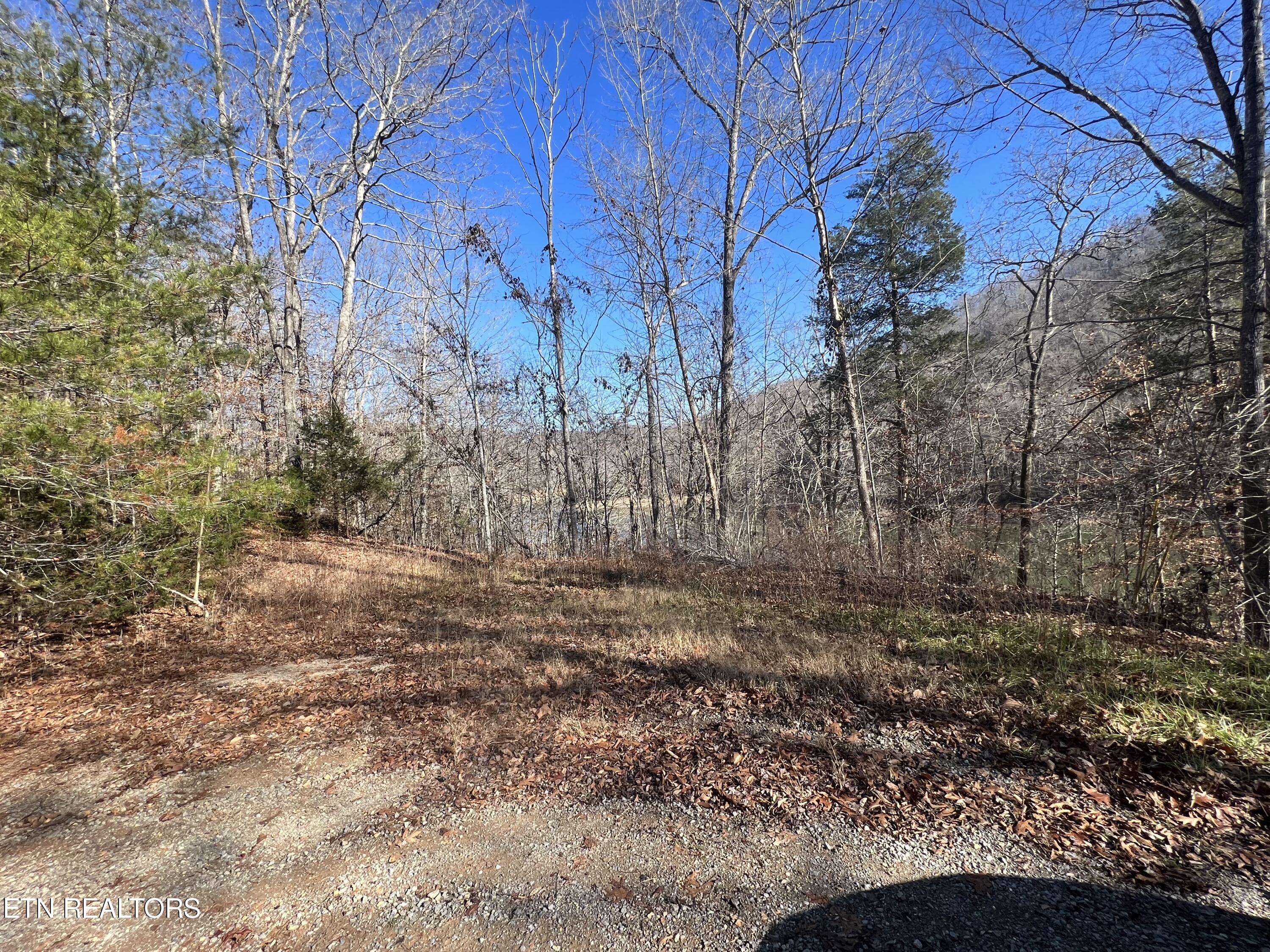 4 Lots Jones Ridge Road Speedwell TN 37870
