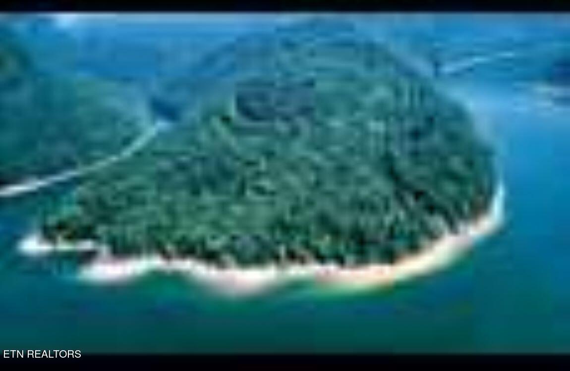 4 Lots Jones Ridge Road Speedwell TN 37870
