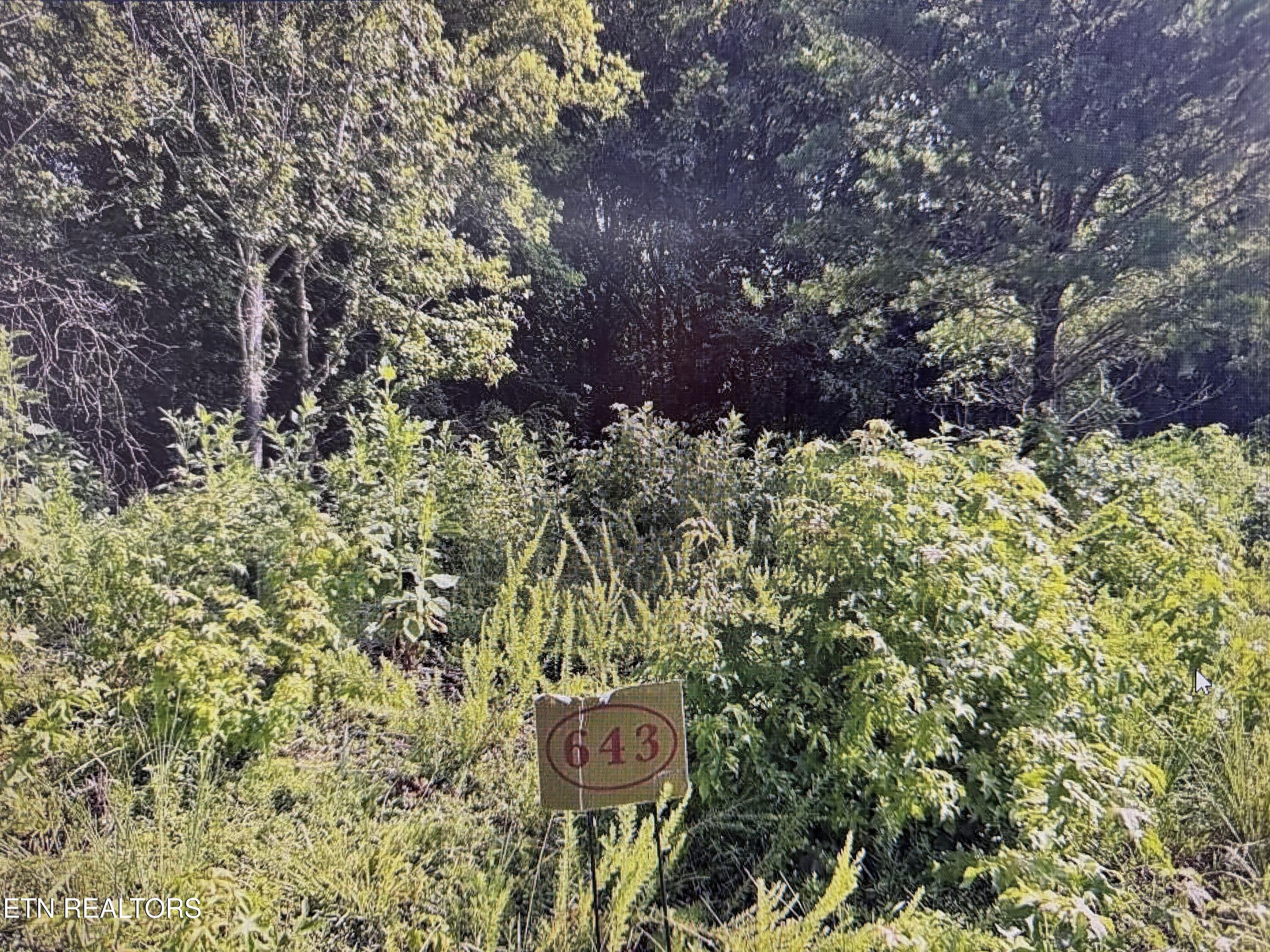 204 Majestic View Drive Rockwood TN 37854