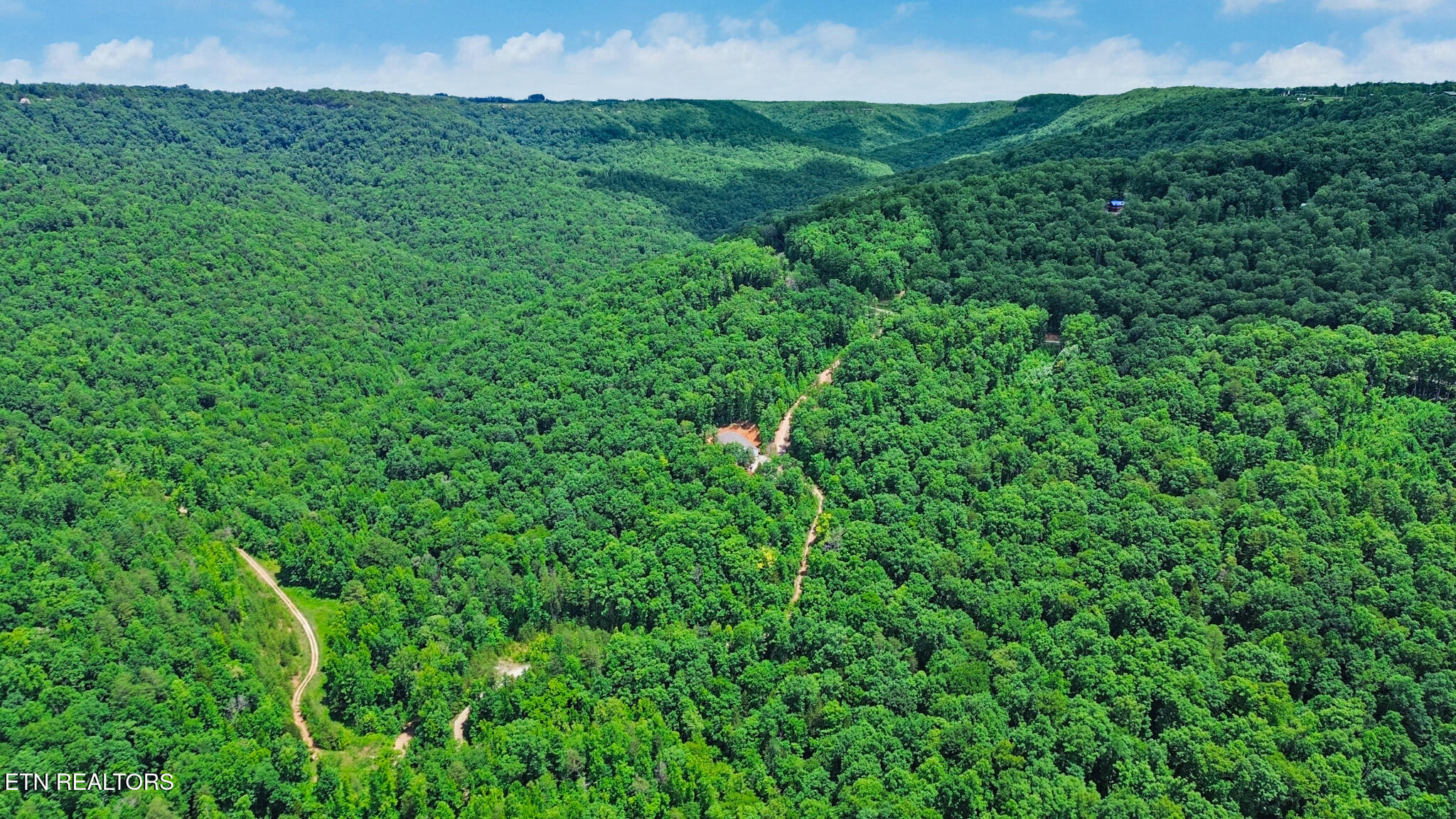 1133 Tomahawk Drive Jamestown TN 38556