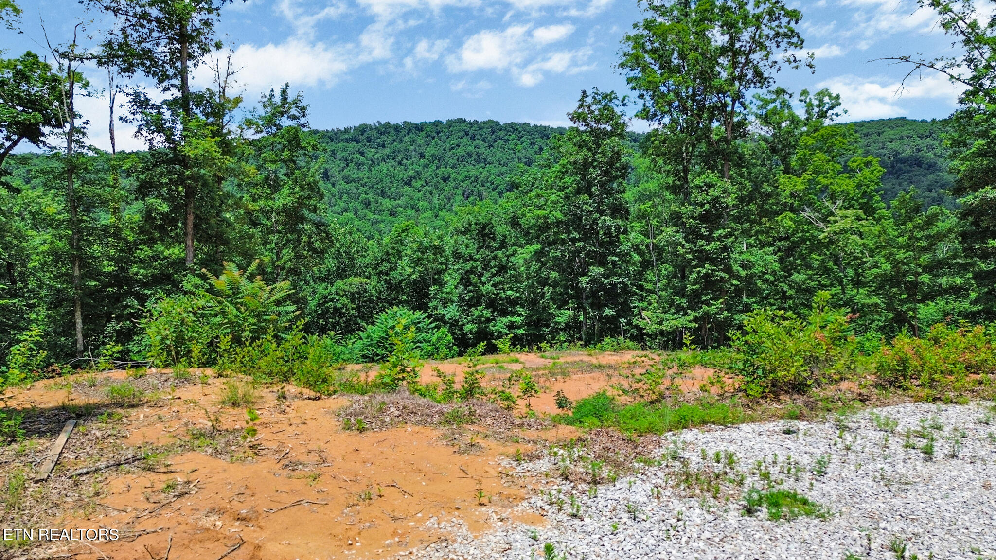 1133 Tomahawk Drive Jamestown TN 38556