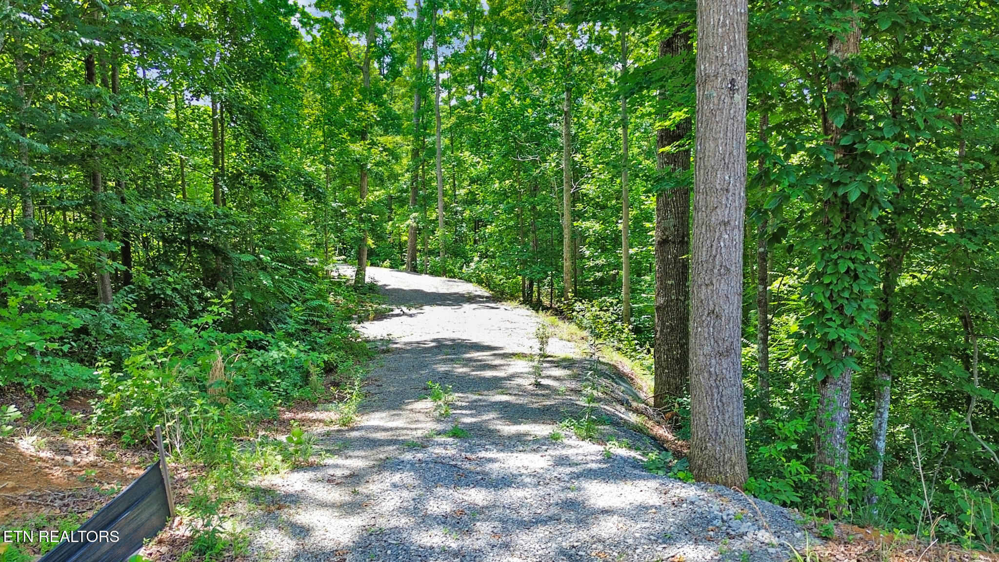 1133 Tomahawk Drive Jamestown TN 38556
