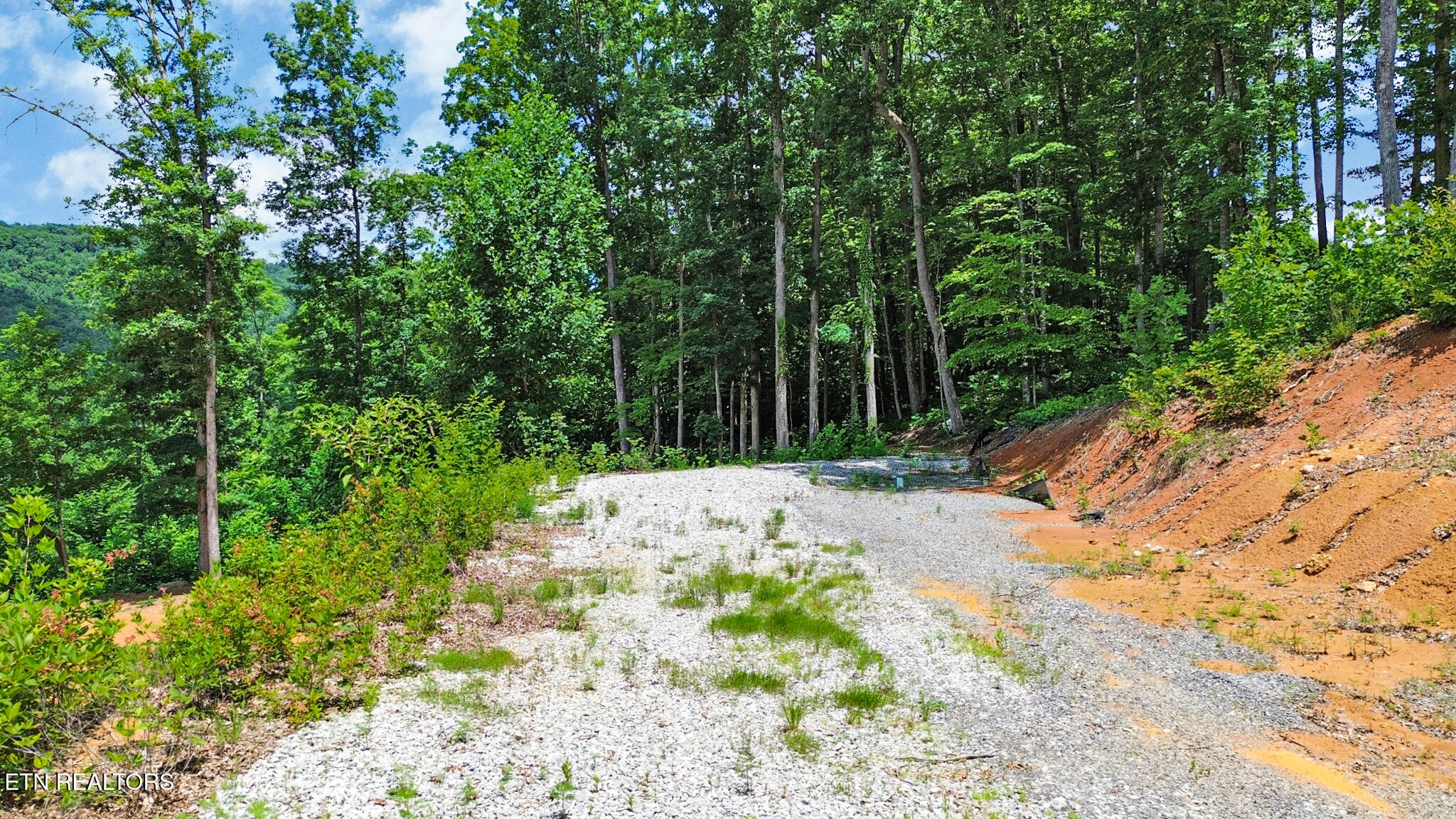 1133 Tomahawk Drive Jamestown TN 38556