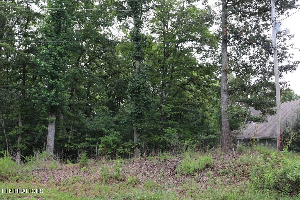 0 Moonlight Bay Drive Sparta TN 38583