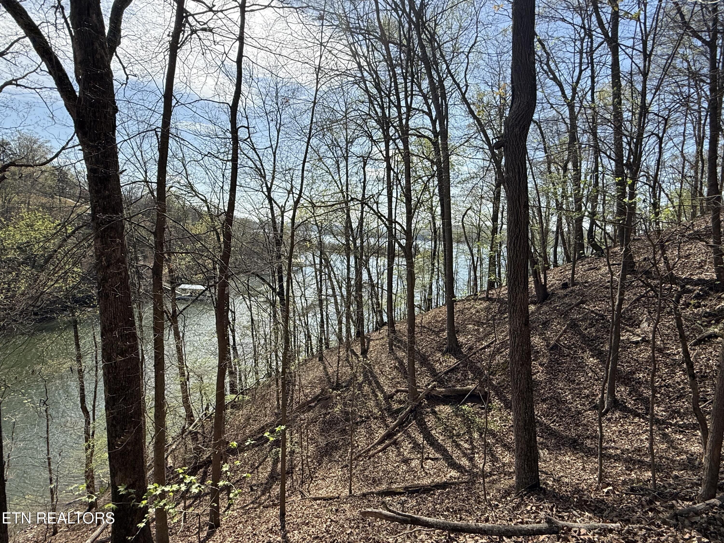 39 Eerie Point Rockwood TN 37854