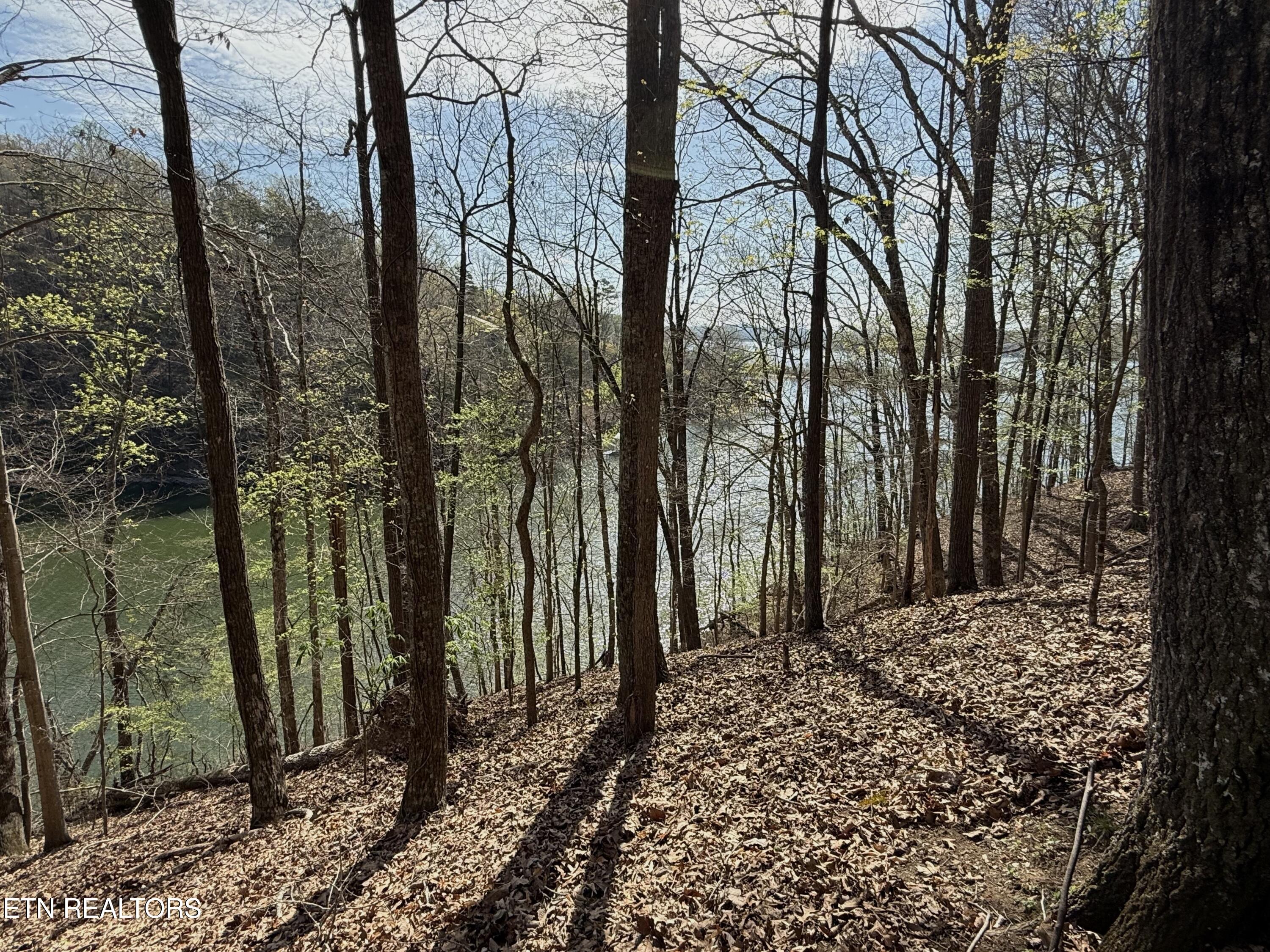 39 Eerie Point Rockwood TN 37854