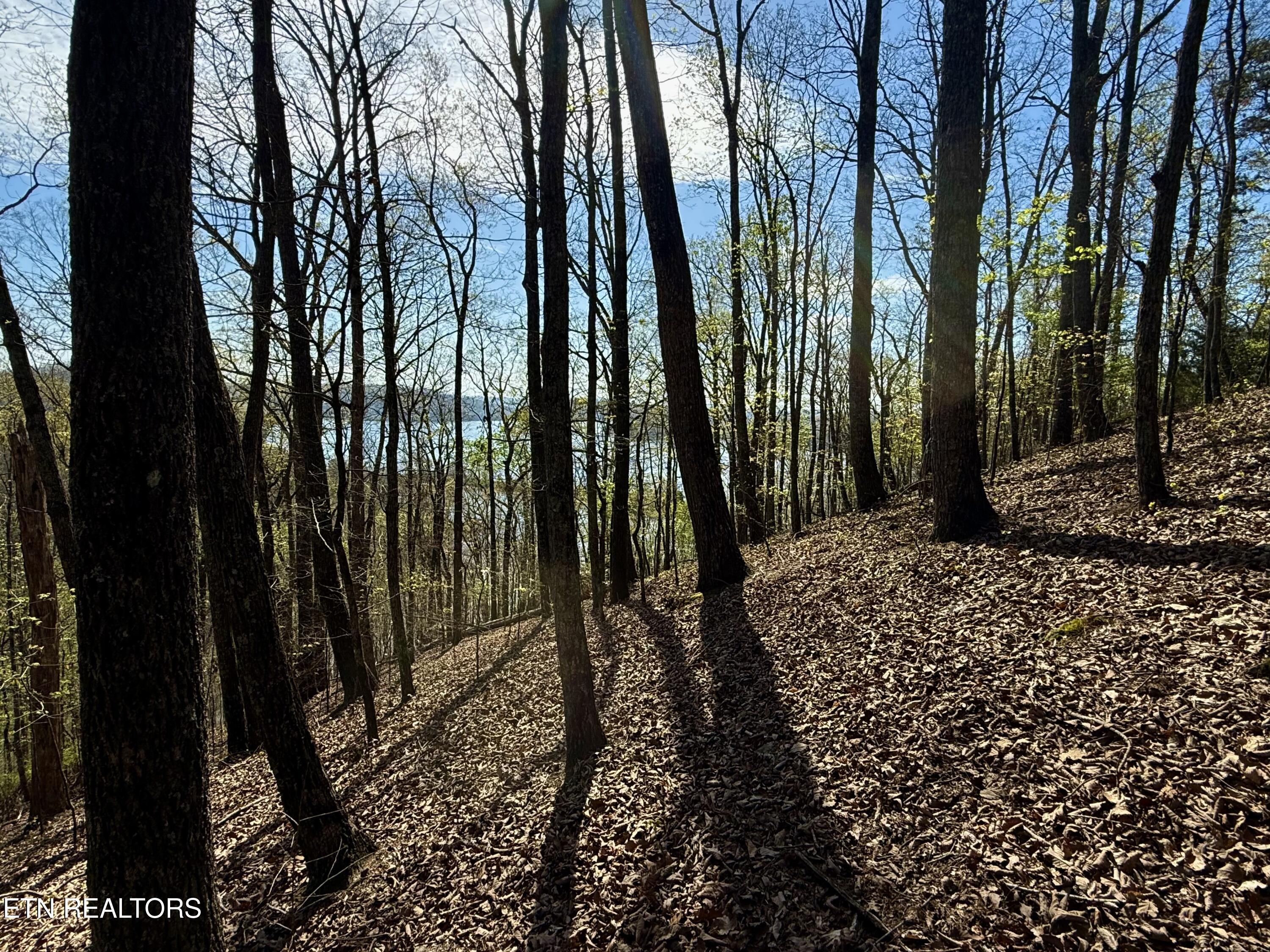 39 Eerie Point Rockwood TN 37854