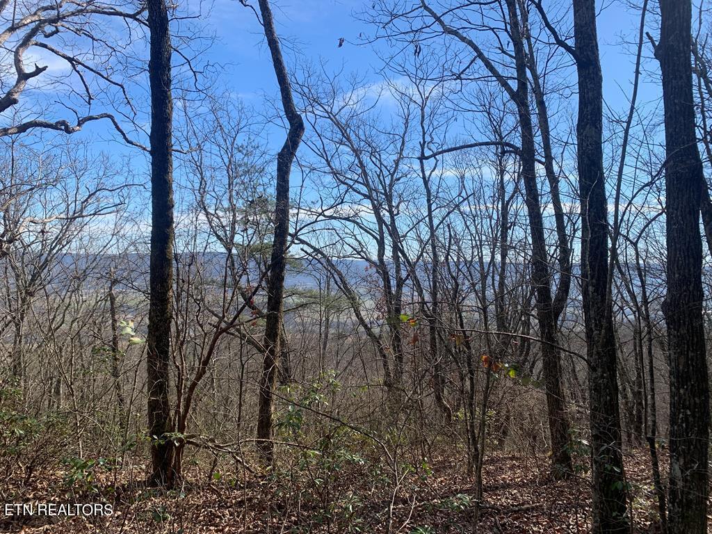 46A Gray Rock View Pikeville TN 37367