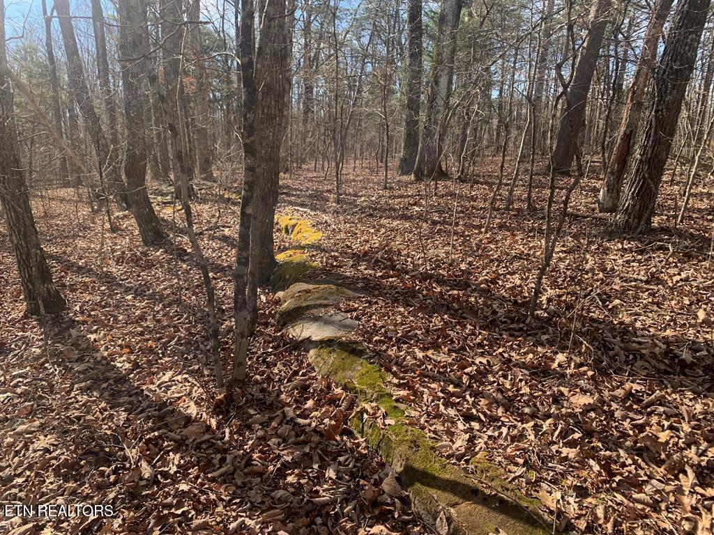 46A Gray Rock View Pikeville TN 37367