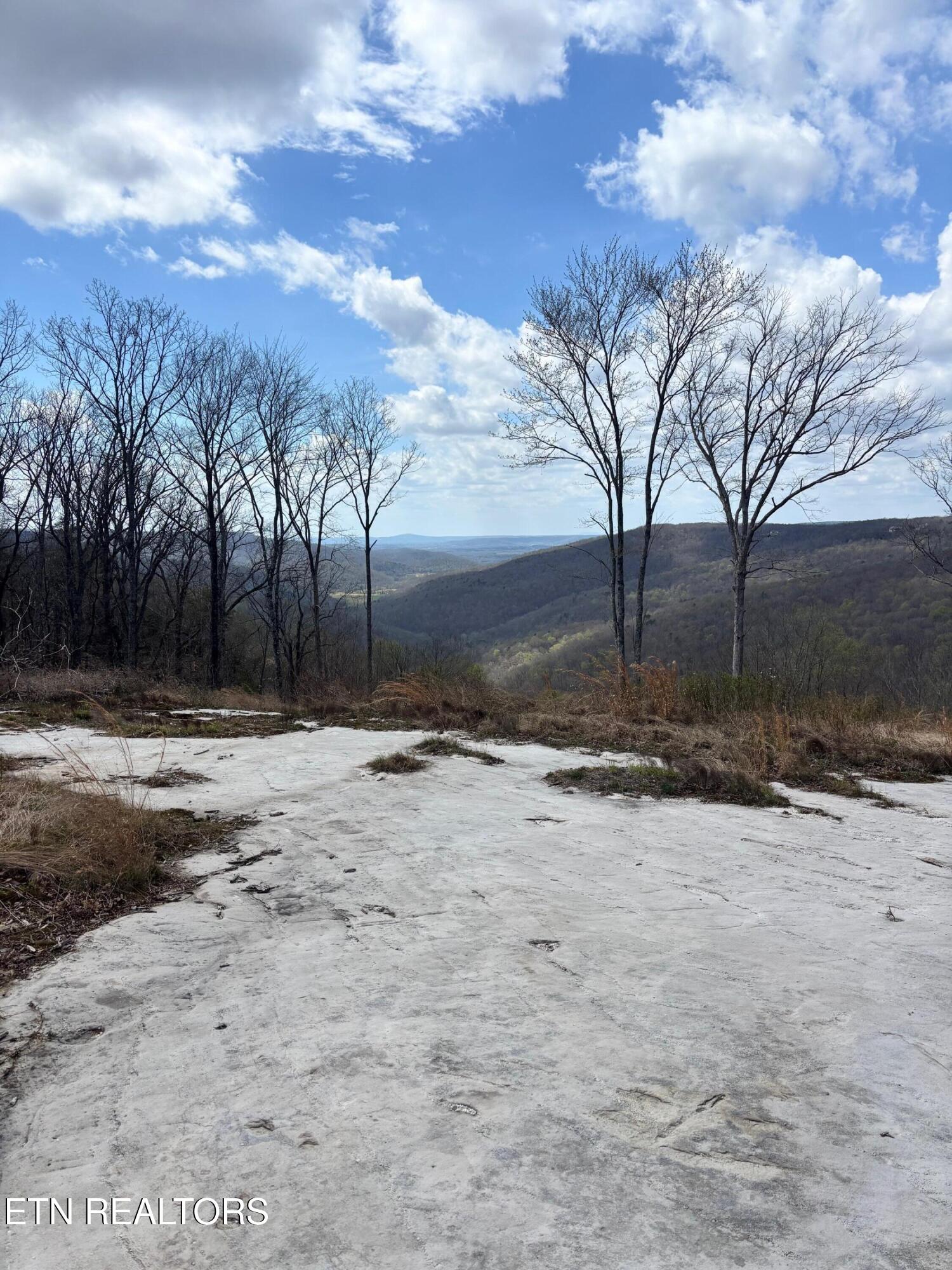 1560 E Overlook Road Monterey TN 38574