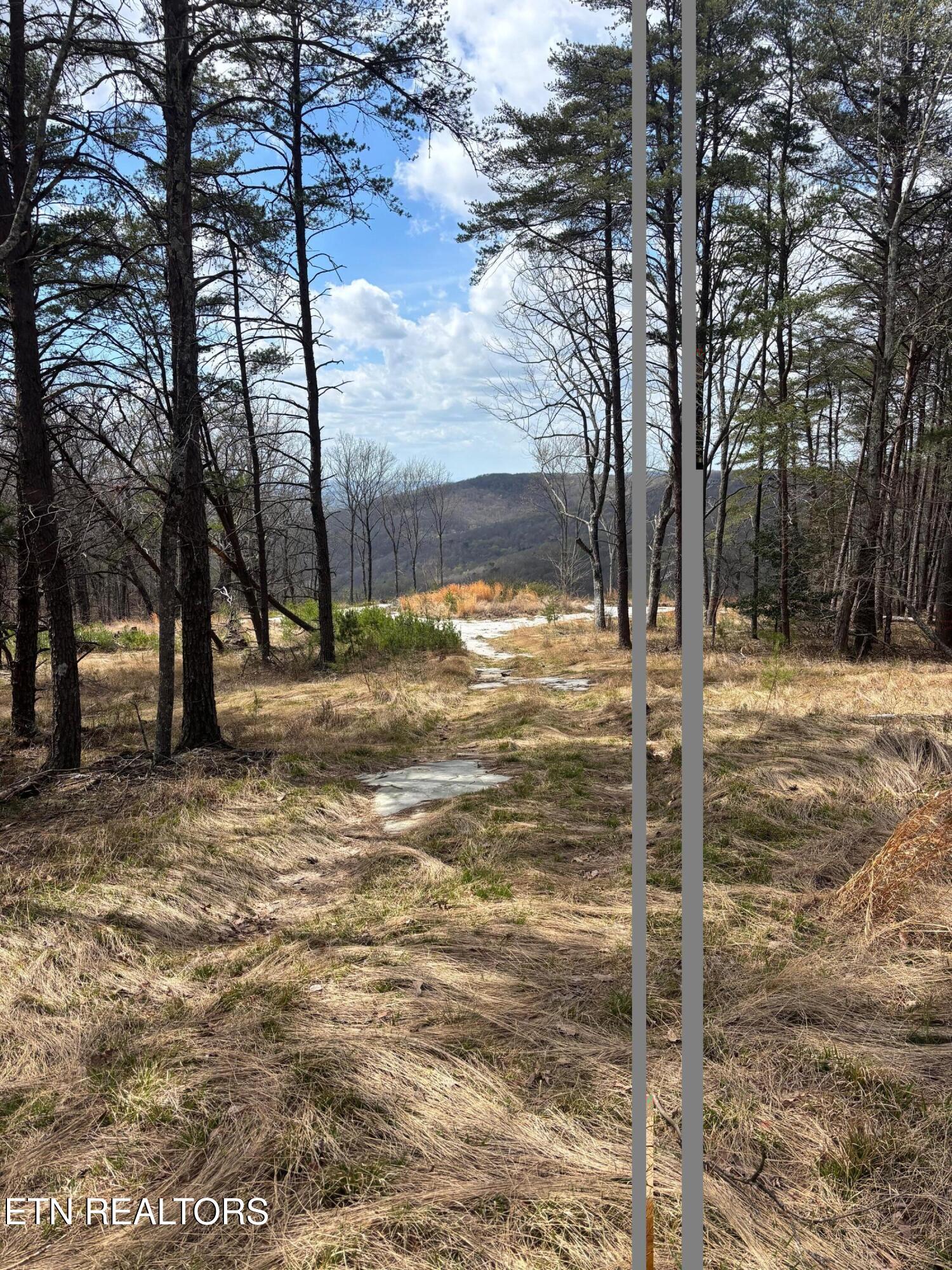 1560 E Overlook Road Monterey TN 38574