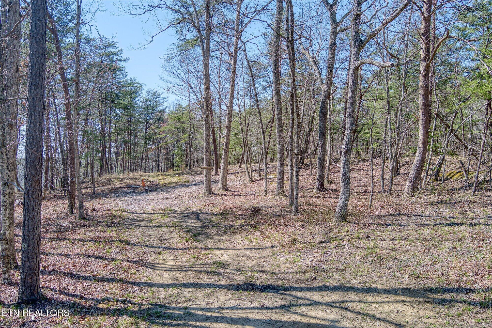 1560 E Overlook Road Monterey TN 38574
