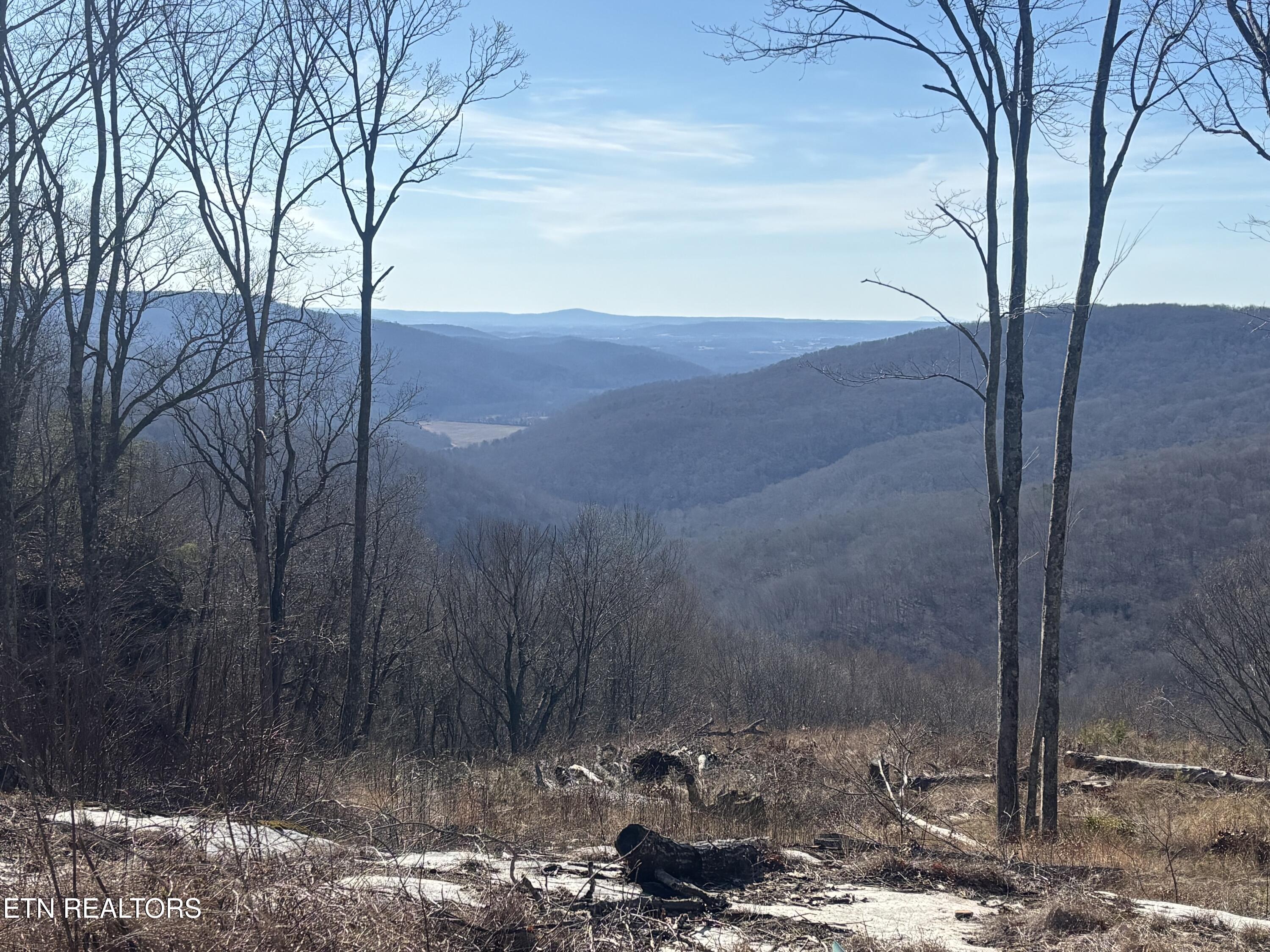 1560 E Overlook Road Monterey TN 38574