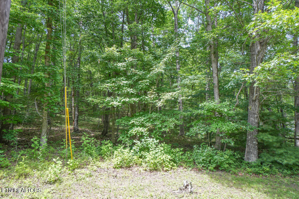 S Peterson Road Tallassee TN 37878