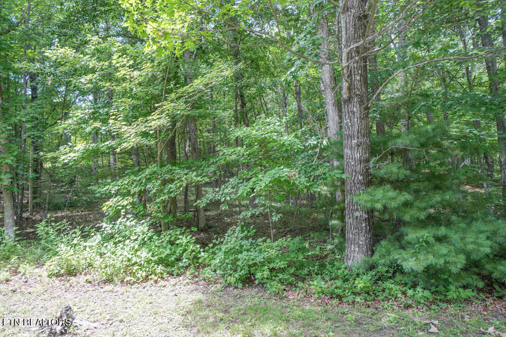 S Peterson Road Tallassee TN 37878
