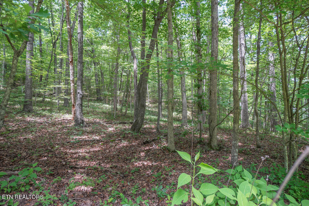 S Peterson Road Tallassee TN 37878