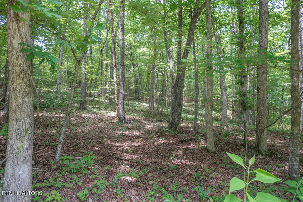 S Peterson Road Tallassee TN 37878