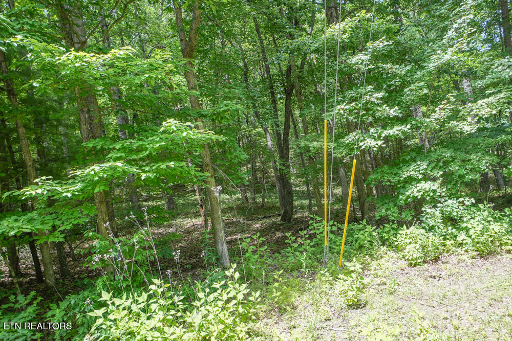 S Peterson Road Tallassee TN 37878