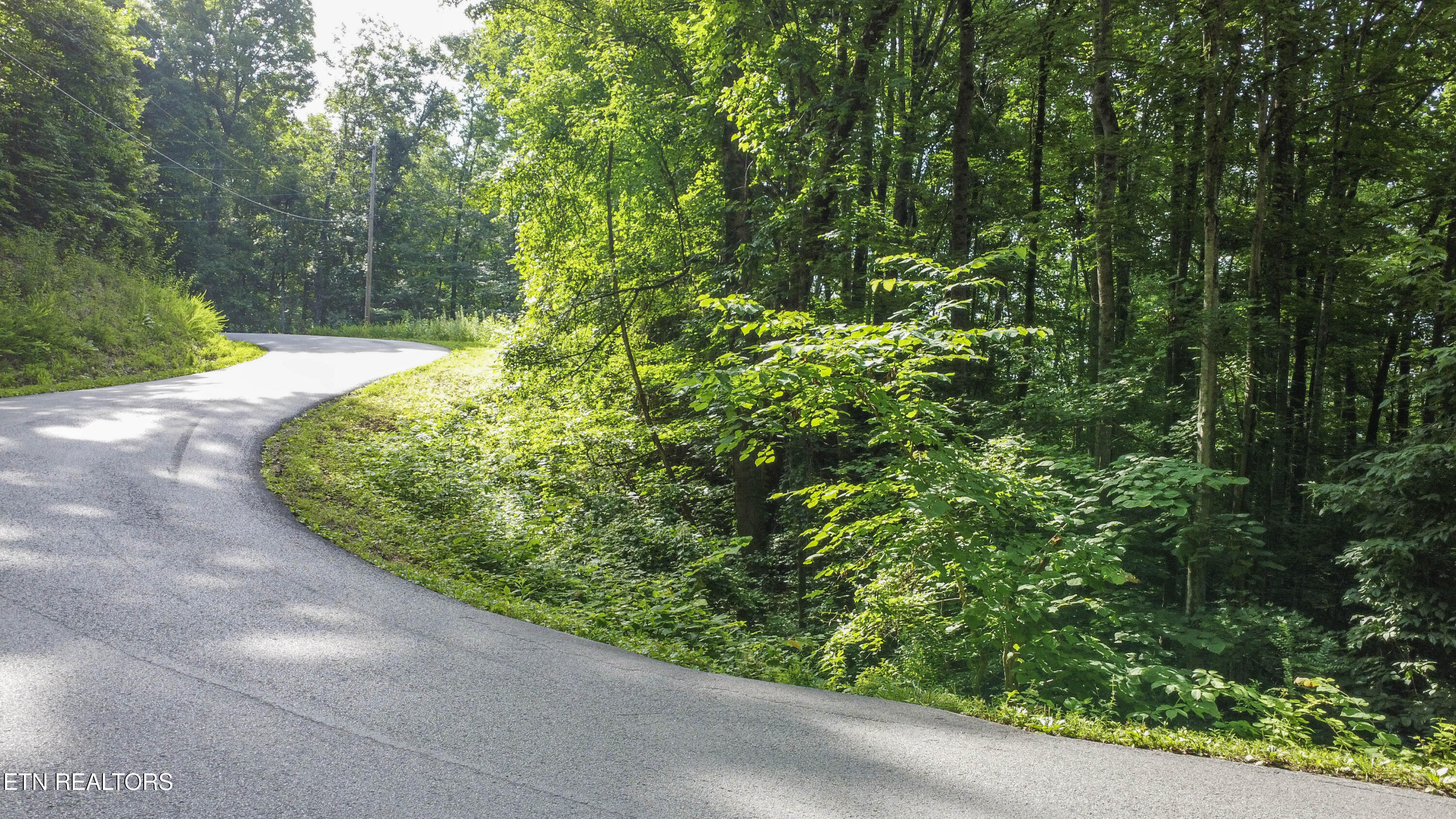 Timber Ridge Road Sharps Chapel TN 37866