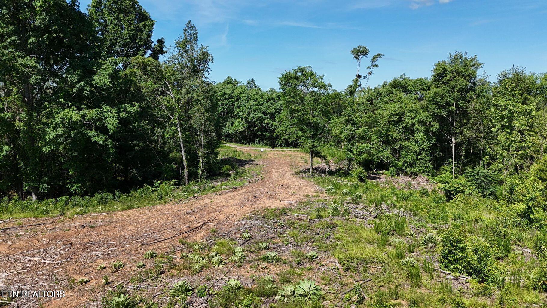 Lot 2 Lamontville Road Decatur TN 37322