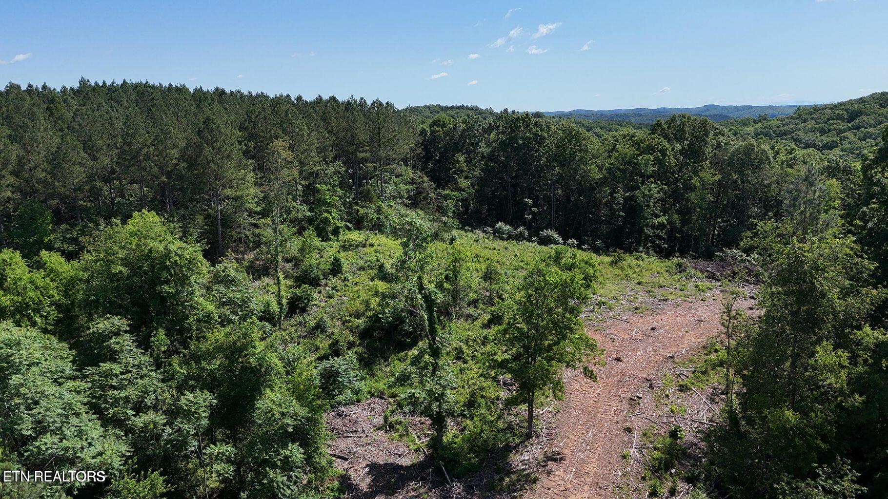 Lot 2 Lamontville Road Decatur TN 37322