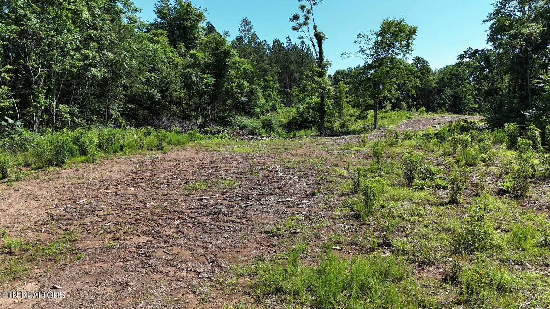 Lot 2 Lamontville Road Decatur TN 37322