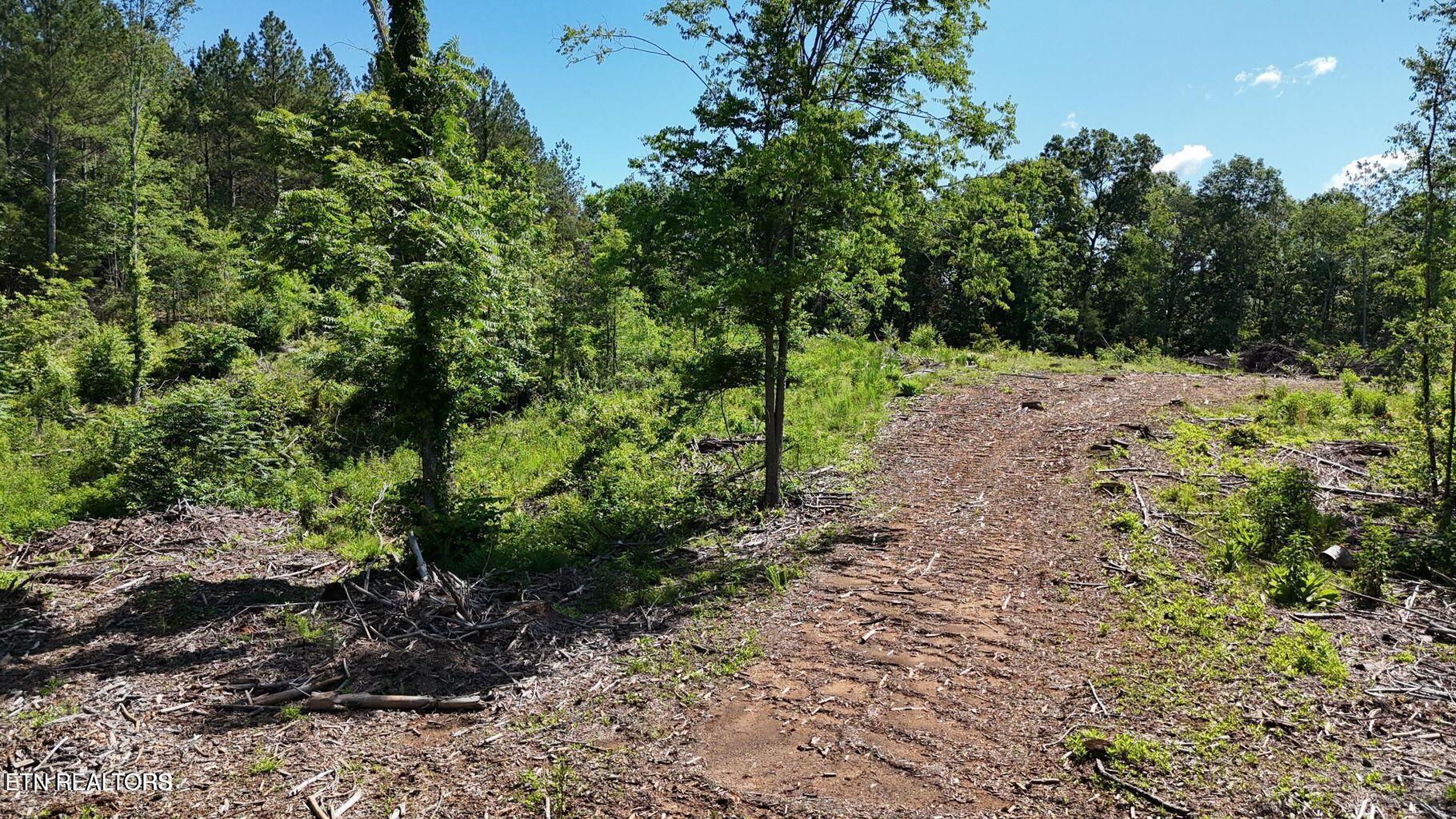Lot 2 Lamontville Road Decatur TN 37322