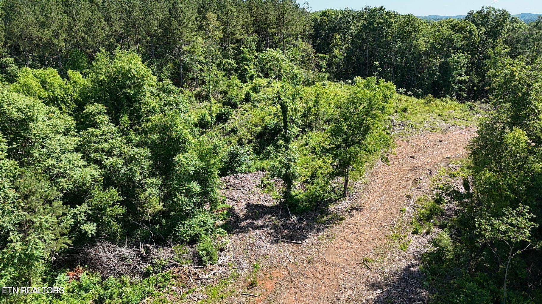 Lot 2 Lamontville Road Decatur TN 37322