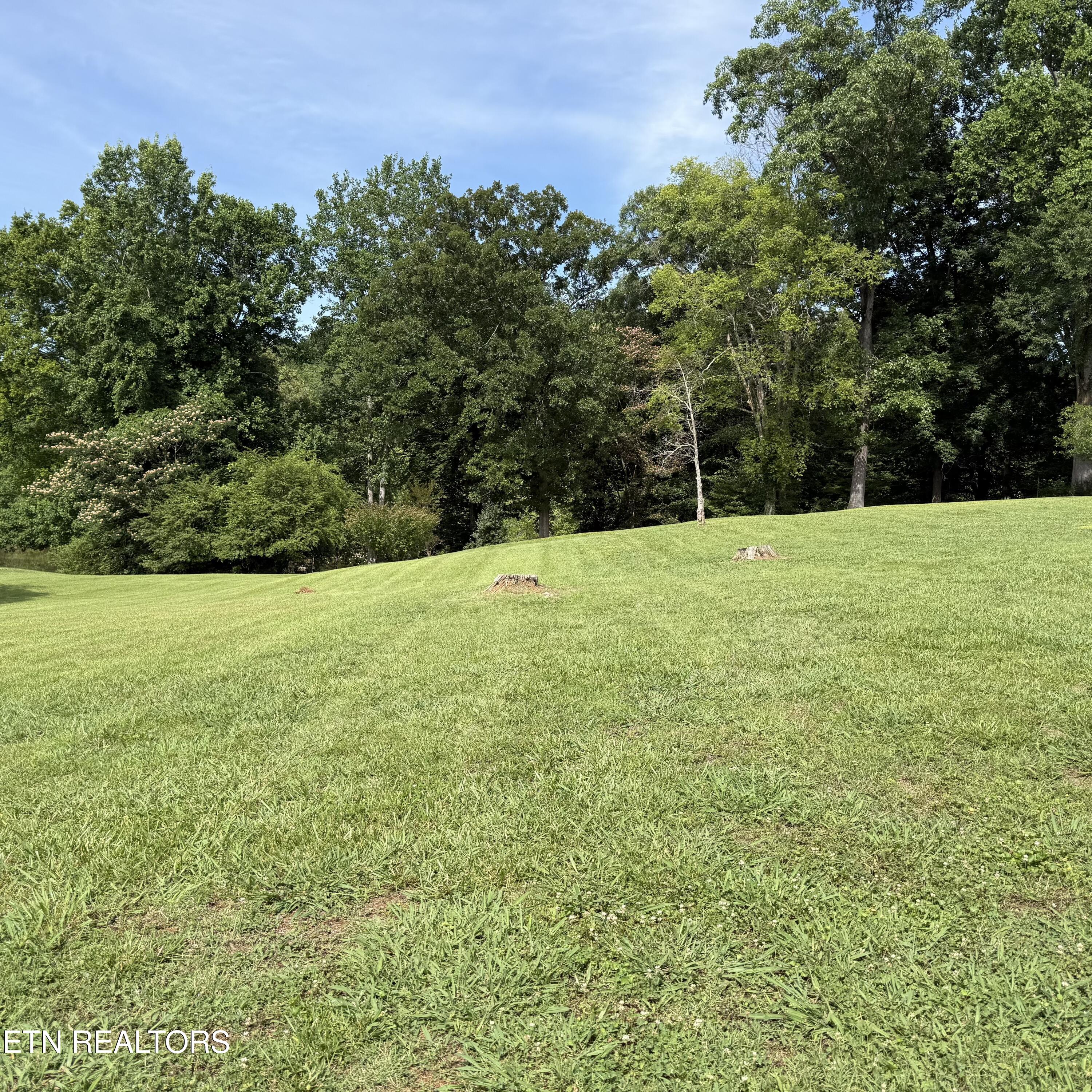 104 Azalea Circle Harriman TN 37748