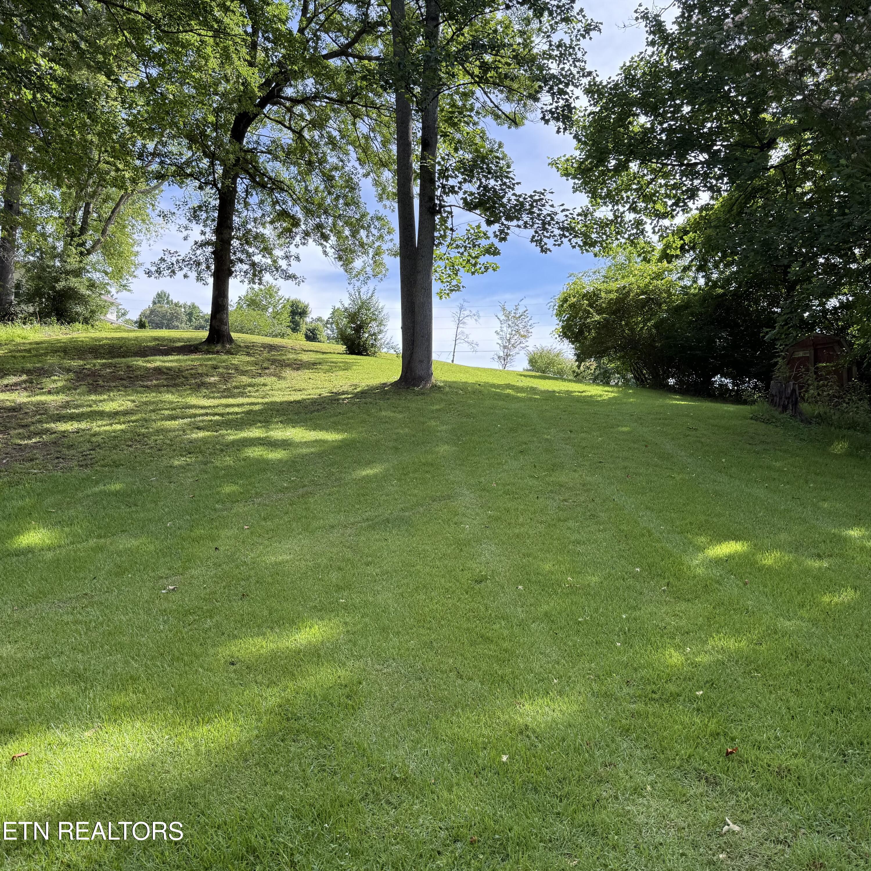 104 Azalea Circle Harriman TN 37748