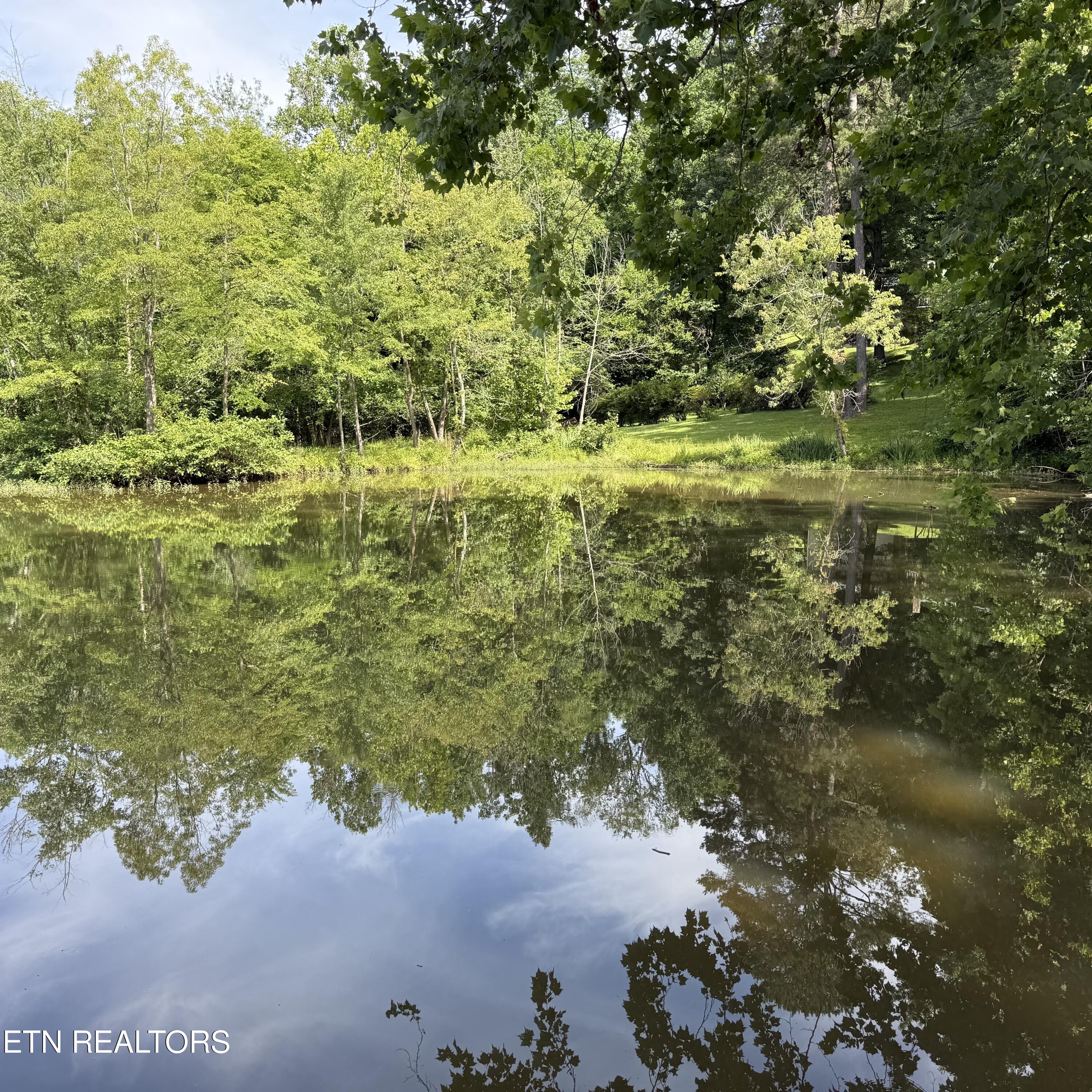 104 Azalea Circle Harriman TN 37748