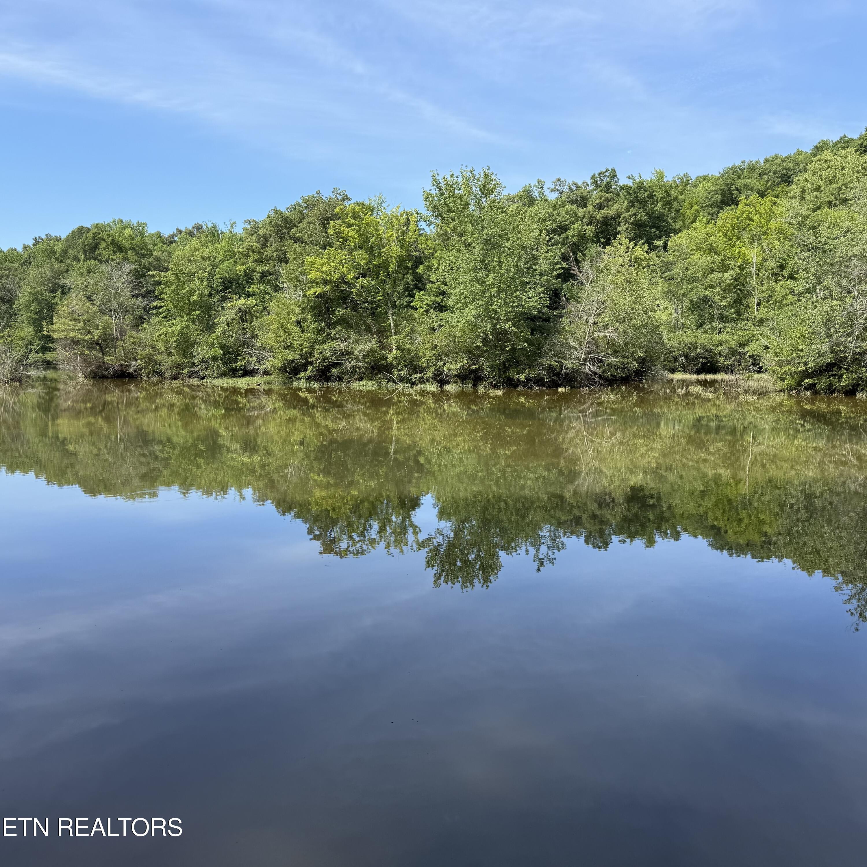 104 Azalea Circle Harriman TN 37748