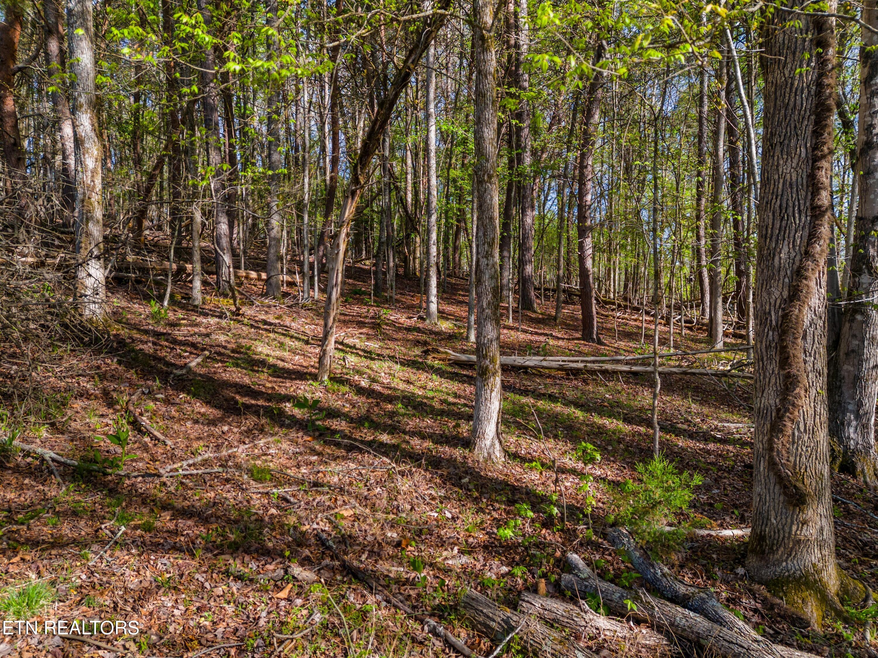 Lot 13 Back Nine Drive Baneberry TN 37890