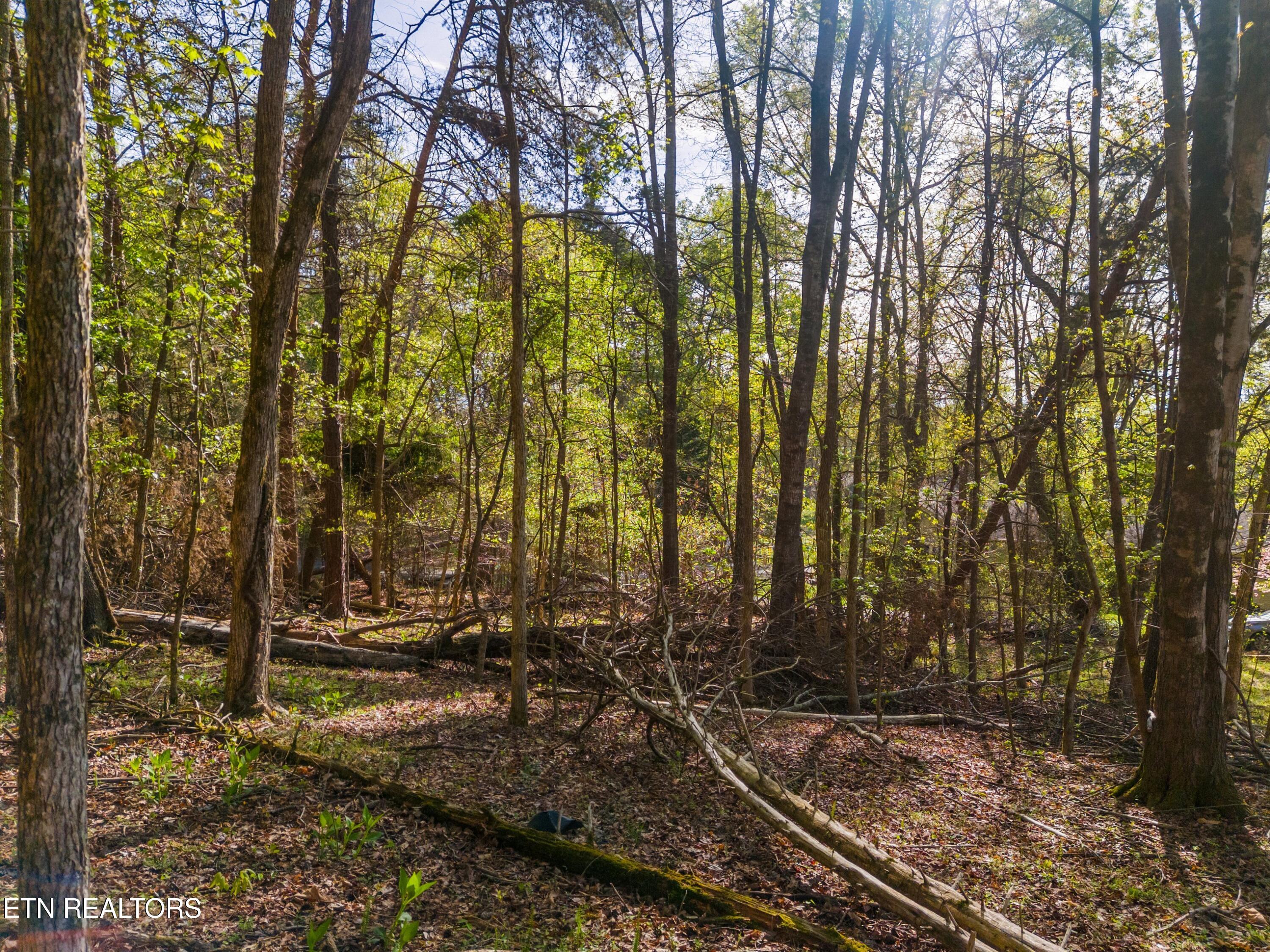 Lot 13 Back Nine Drive Baneberry TN 37890