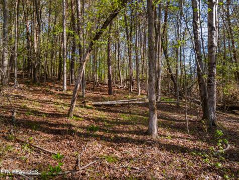 Lot 13 Back Nine Drive Baneberry TN 37890
