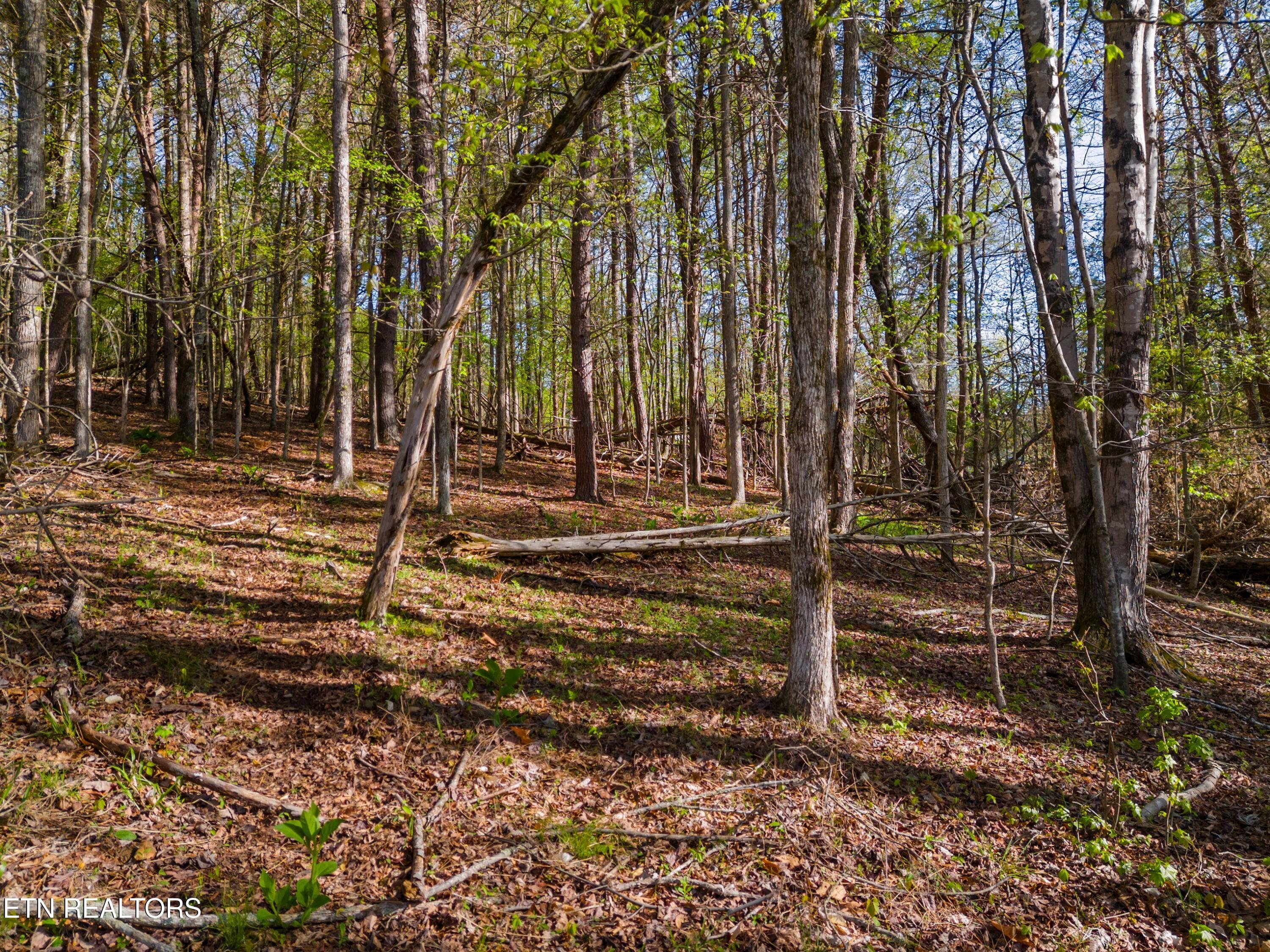 Lot 13 Back Nine Drive Baneberry TN 37890