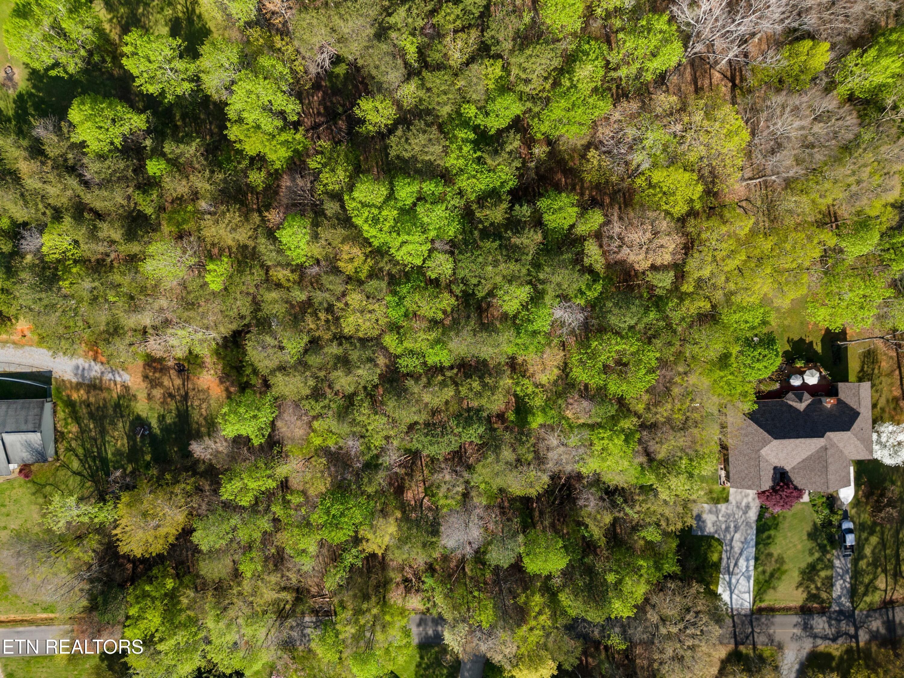Lot 13 Back Nine Drive Baneberry TN 37890