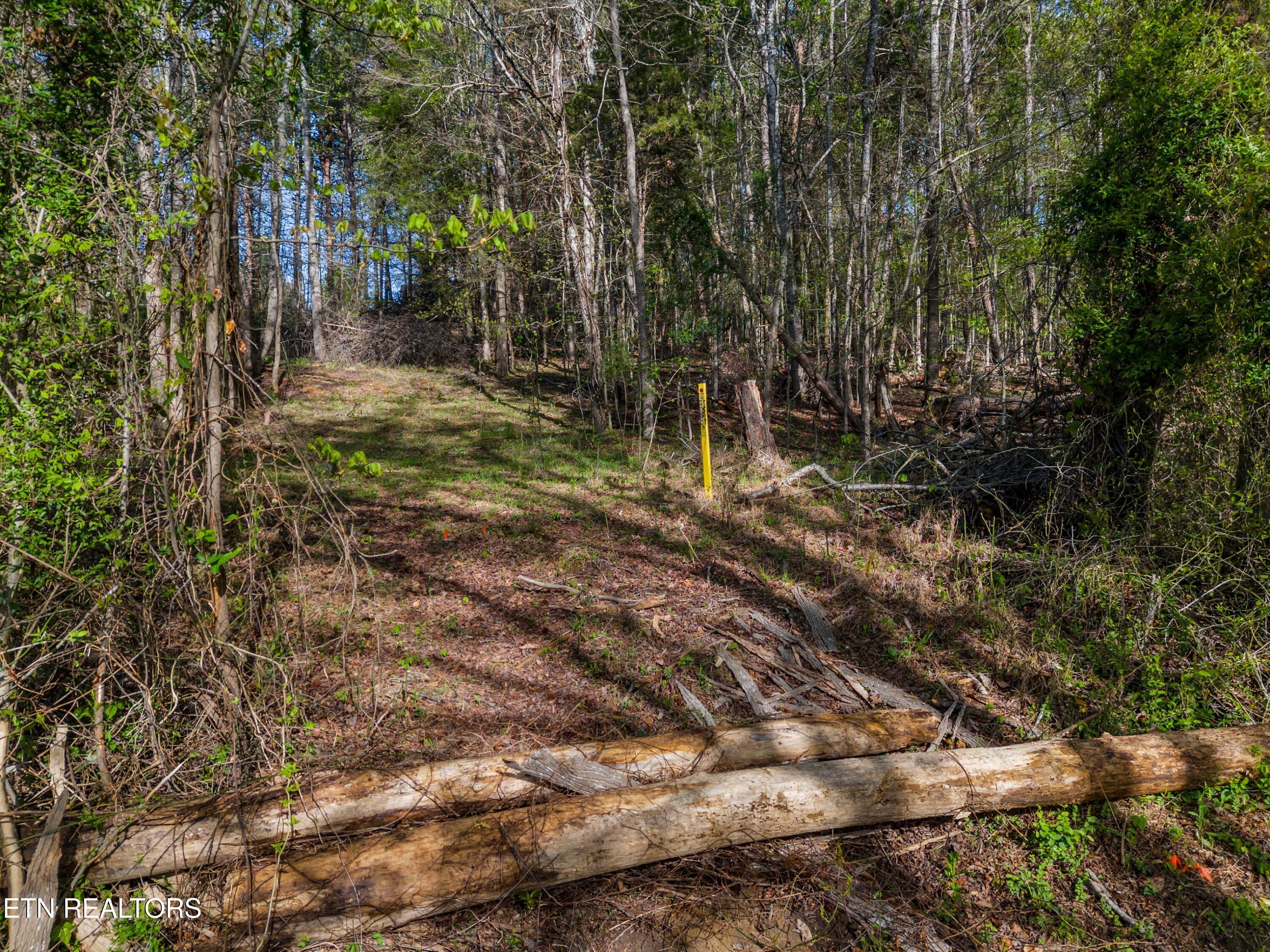 Lot 13 Back Nine Drive Baneberry TN 37890