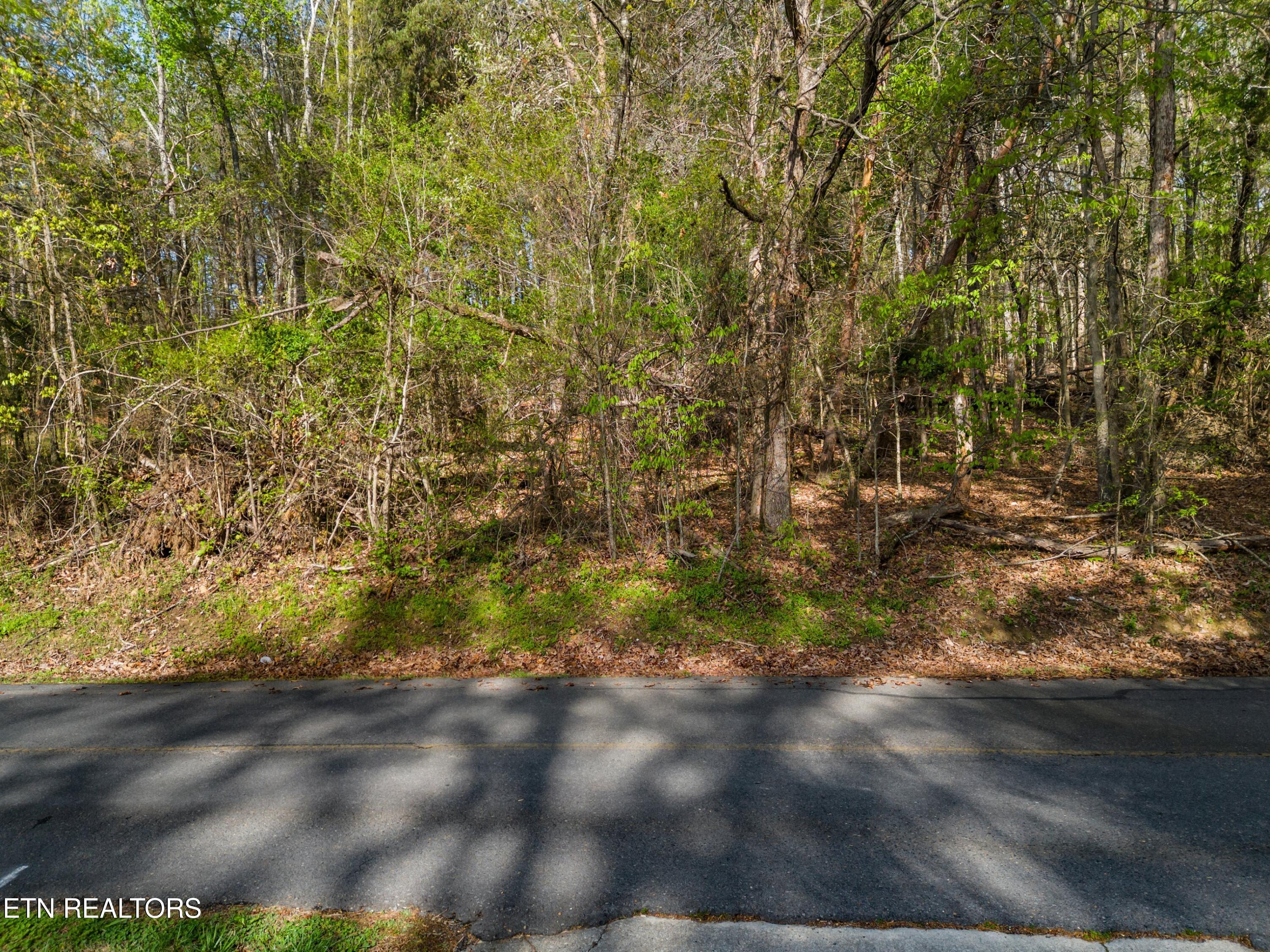 Lot 13 Back Nine Drive Baneberry TN 37890