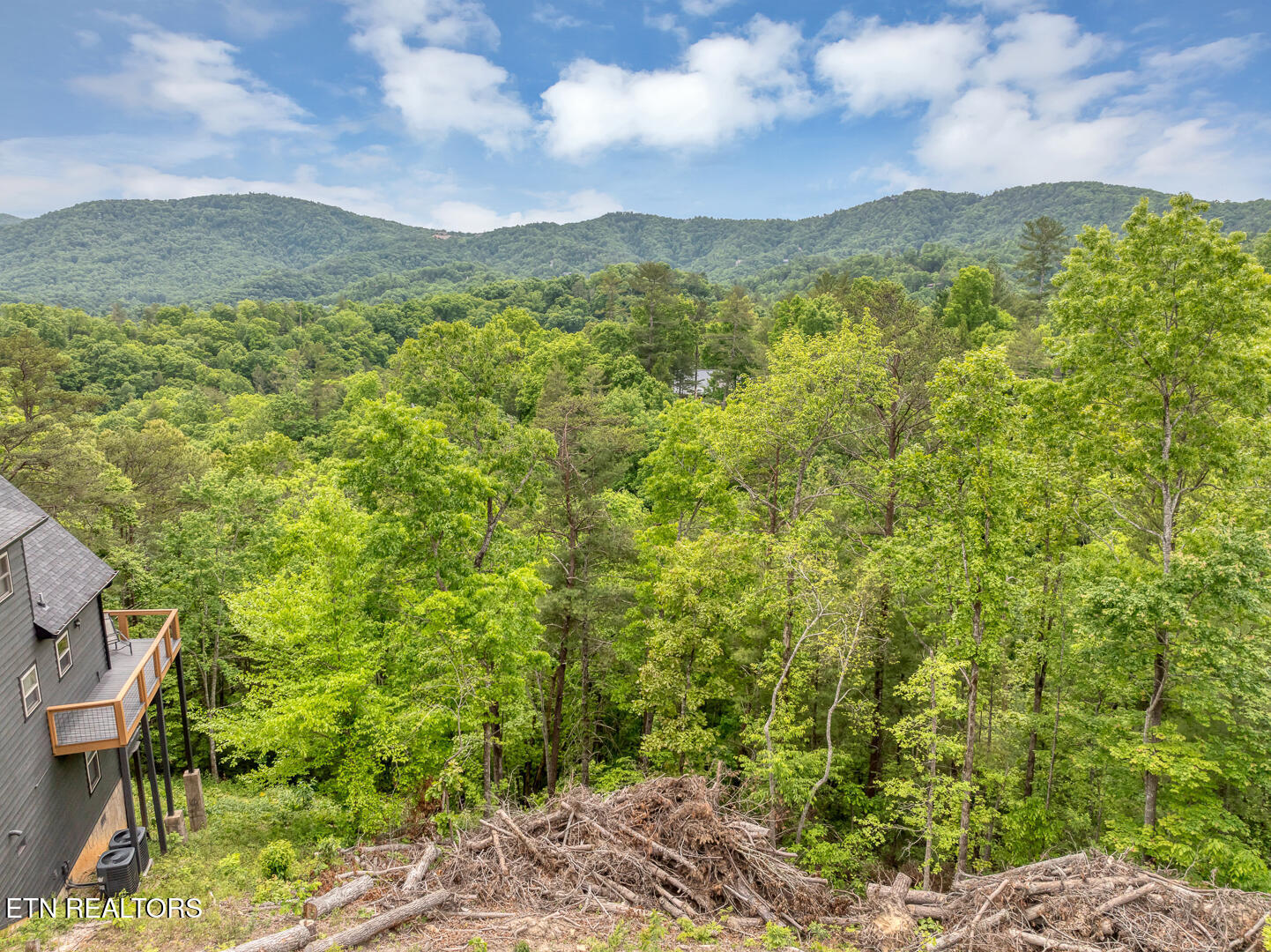 210 Cutter Gap Road Townsend TN 37882